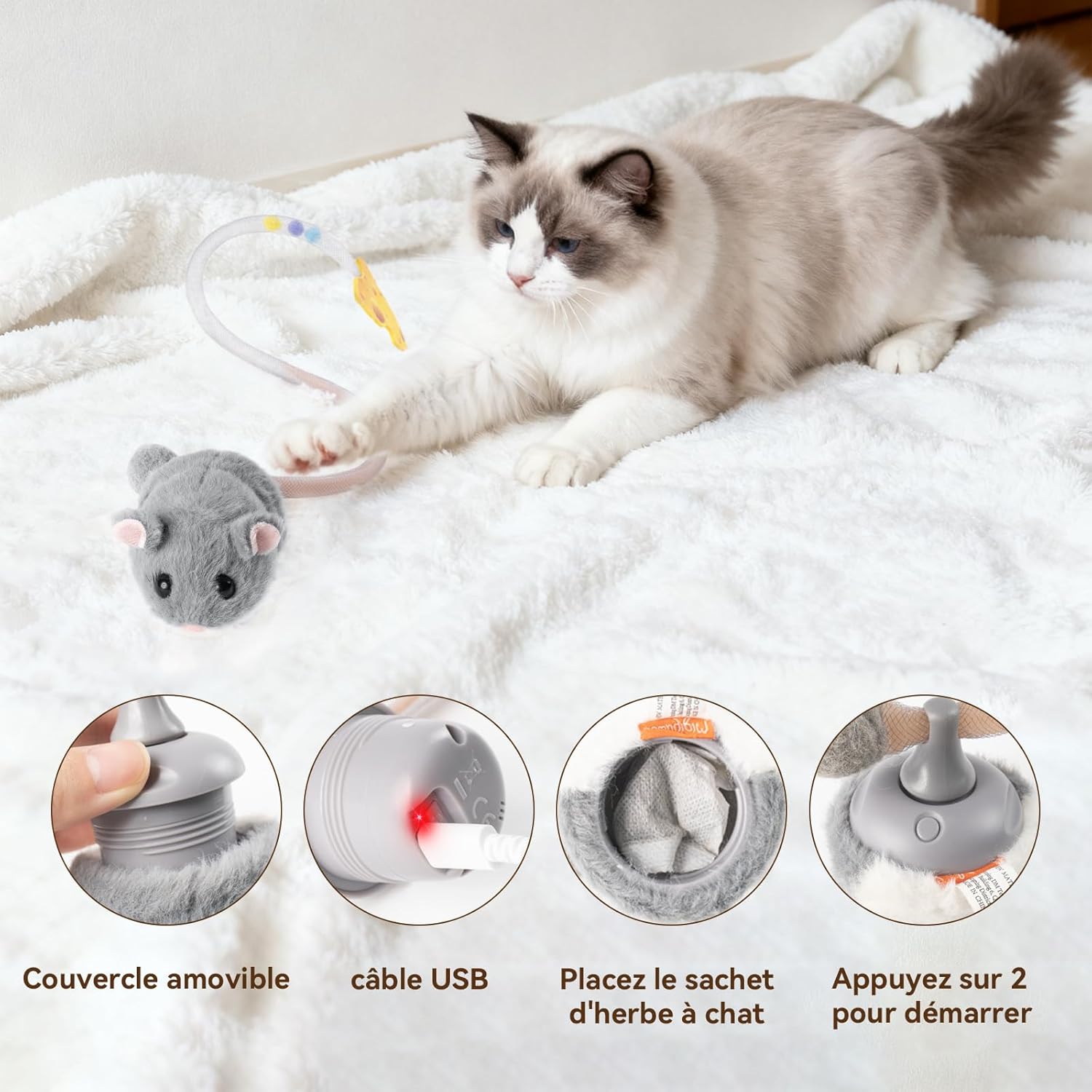 Jouet pour chaton premium herbe à chat intégrée mouvements imprévisibles luxe.