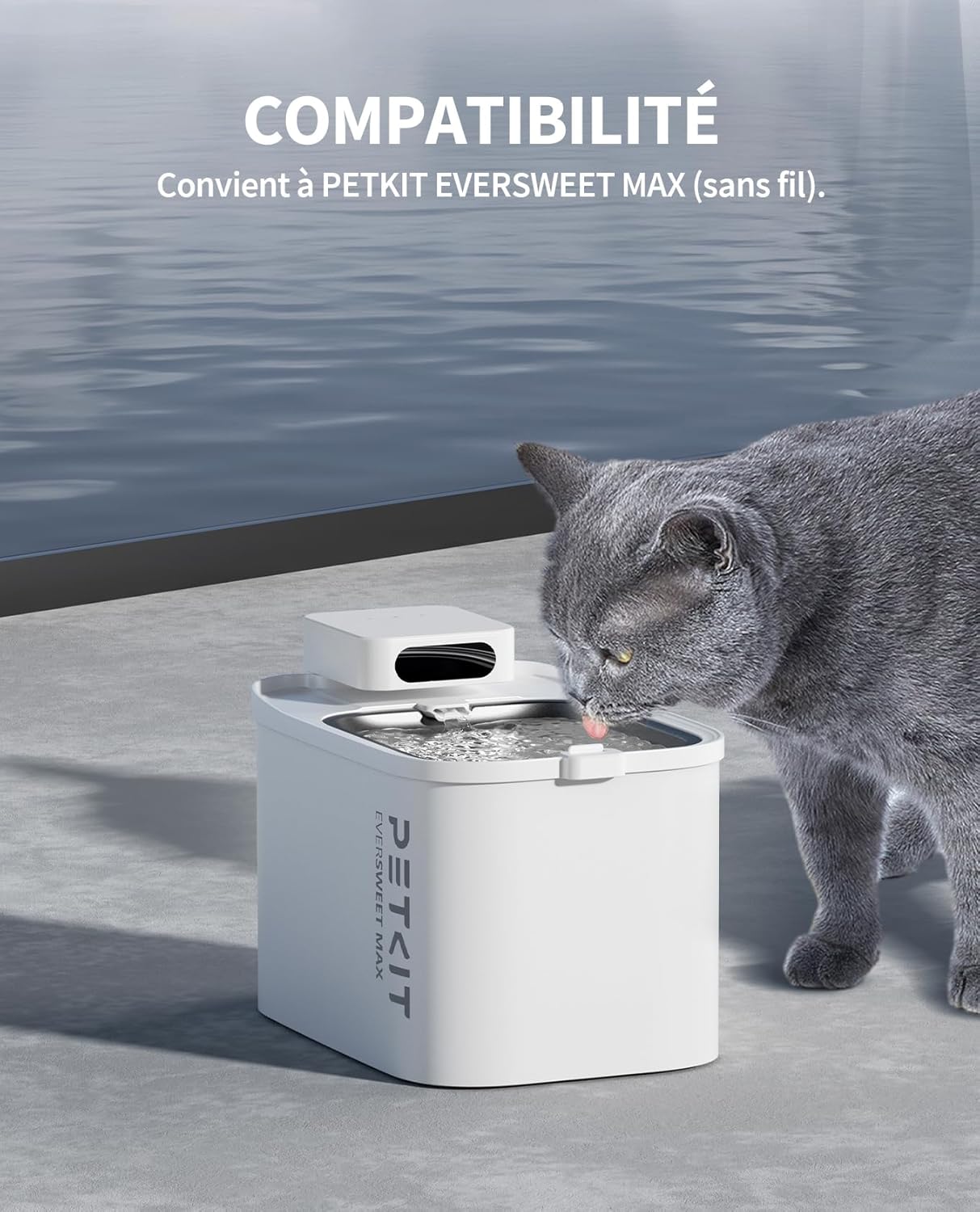 Accessoire chat design raffiné pour distributeur d’eau PETKIT