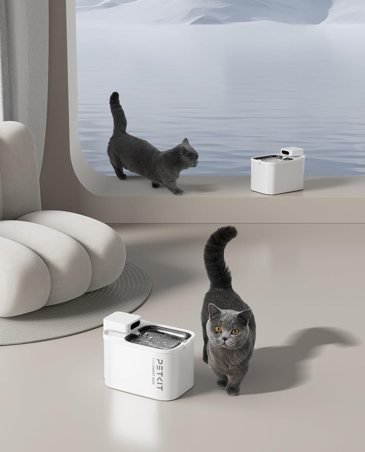Filtre PETKIT EVERSWEET MAX pour fontaine à eau chat, lot de 5