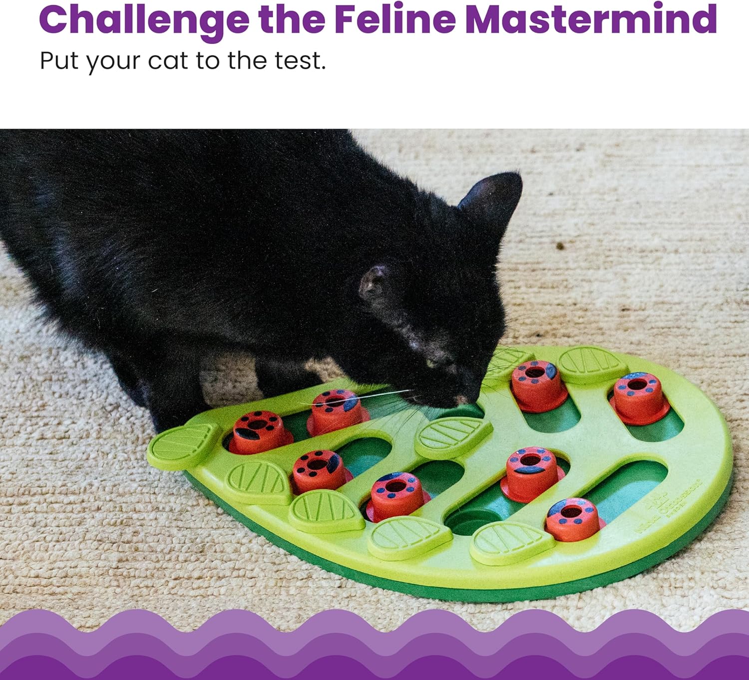 Puzzle friandises chat toutes races bien-être mental design moderne.