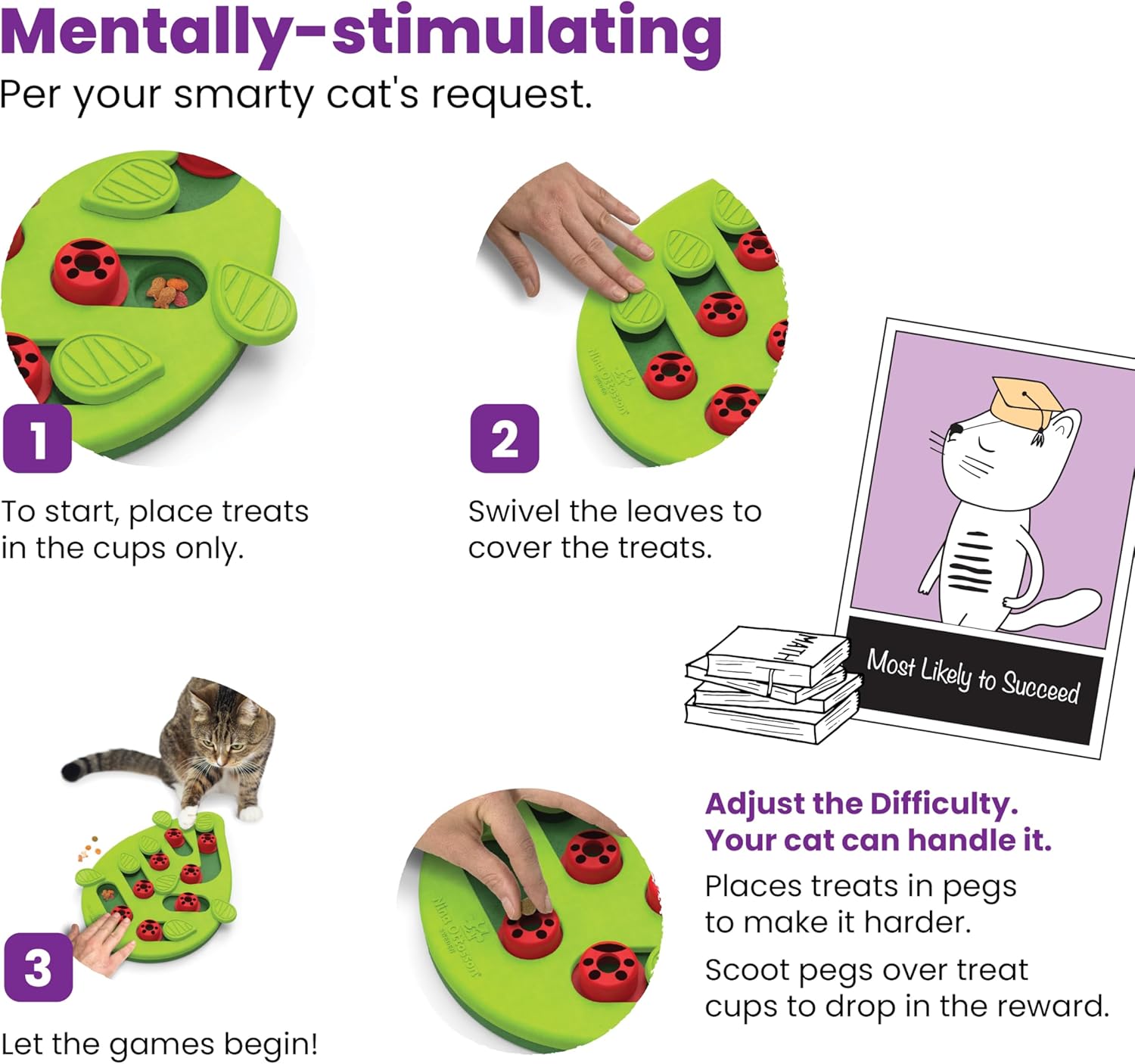 Accessoire chat premium Wood Plastic Composite sans BPA haut de gamme.