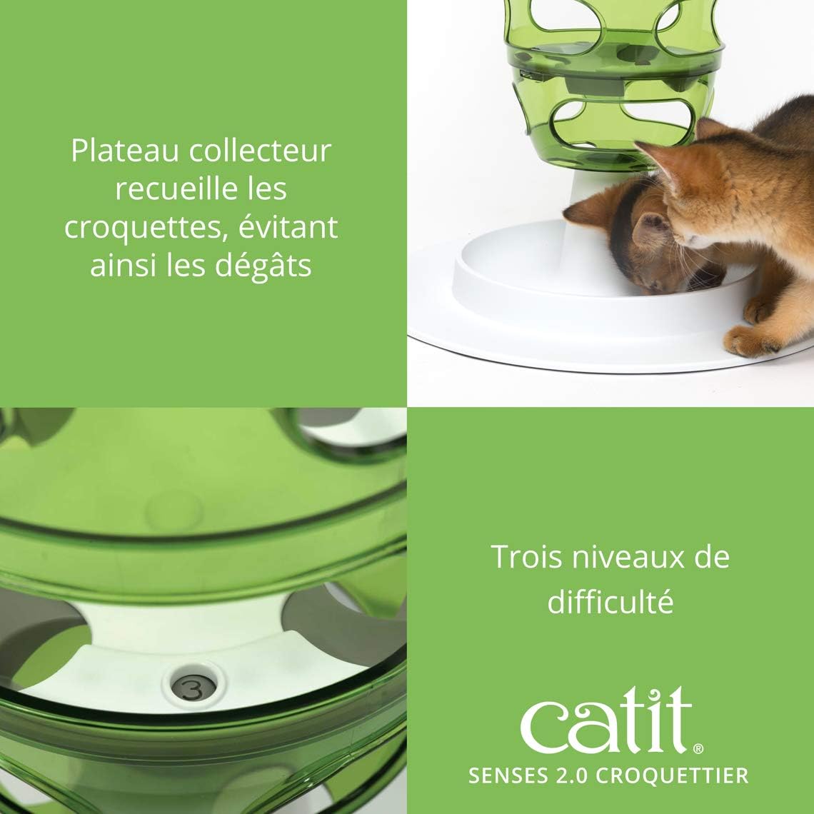Chat jouant avec le labyrinthe d’alimentation Catit Senses, patte dans l’ouverture latérale, jeu d’intelligence pour félin.
