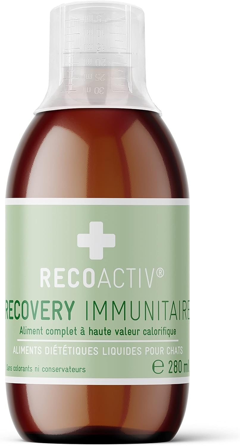 Alimentation liquide RECOACTIV pour chat en convalescence, solution premium et facile à administrer.