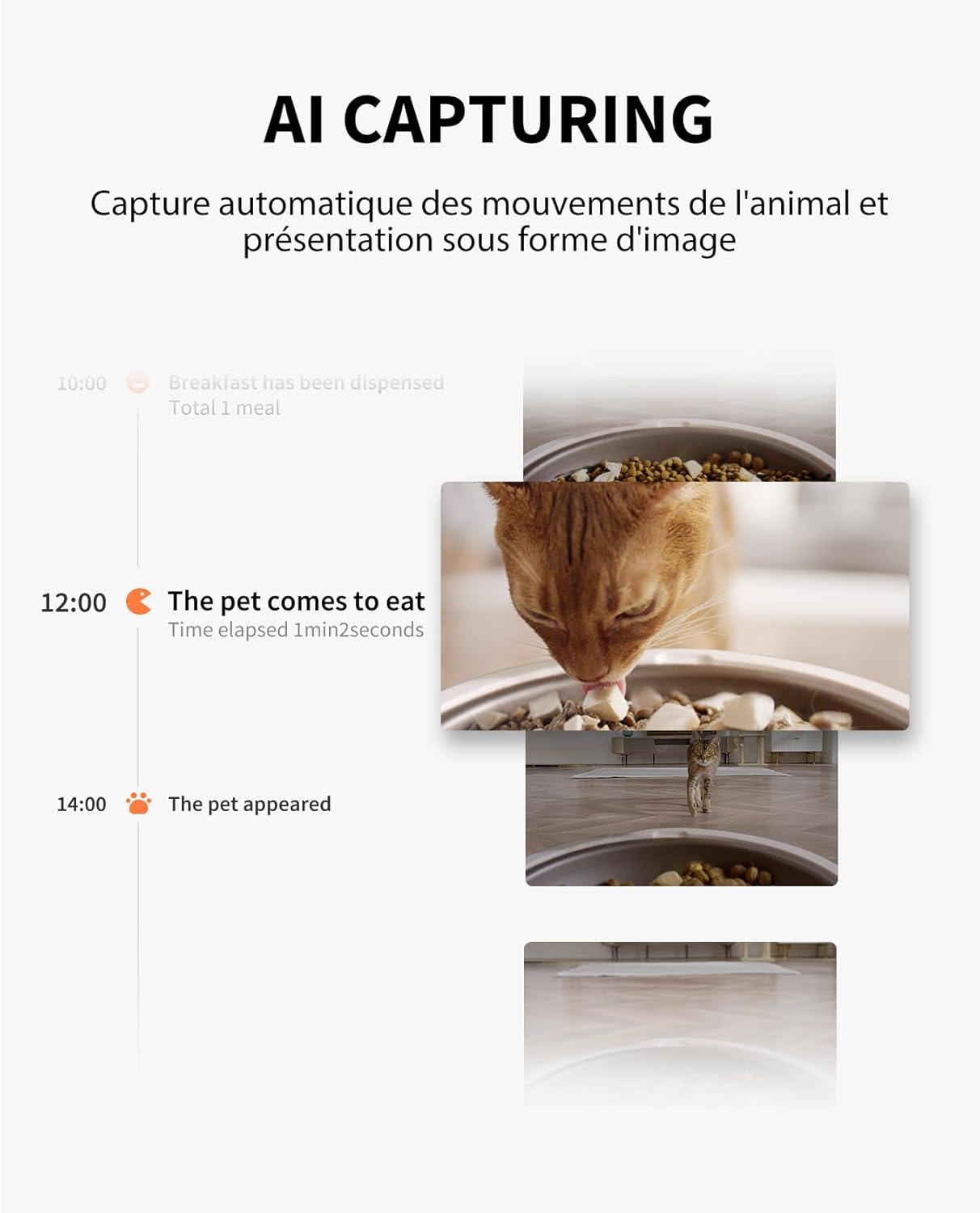 Distributeur croquettes chat haut de gamme avec caméra 1080P PETKIT.