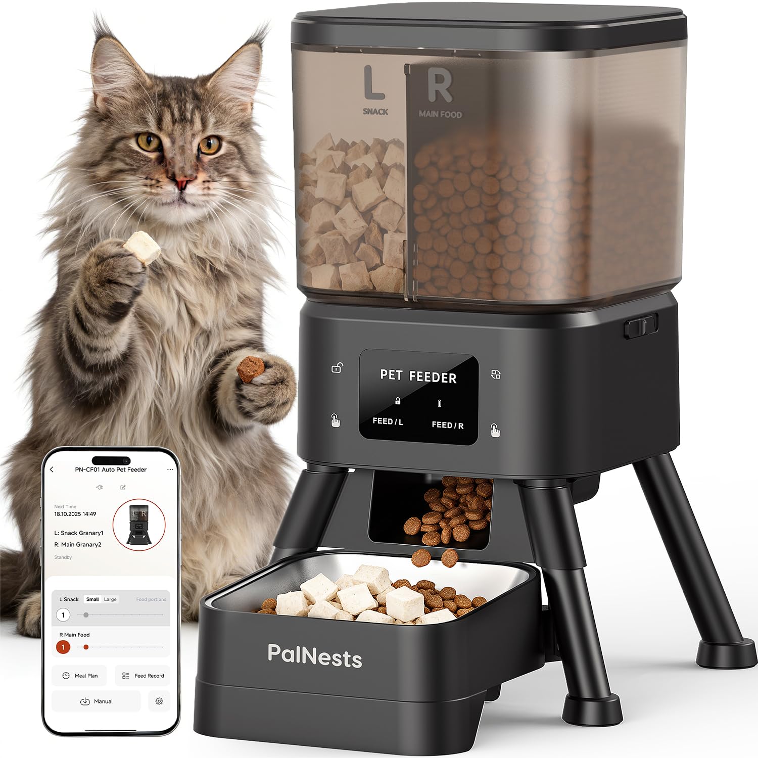 Transition alimentaire douce PalNests distributeur premium pour chaton gestante.