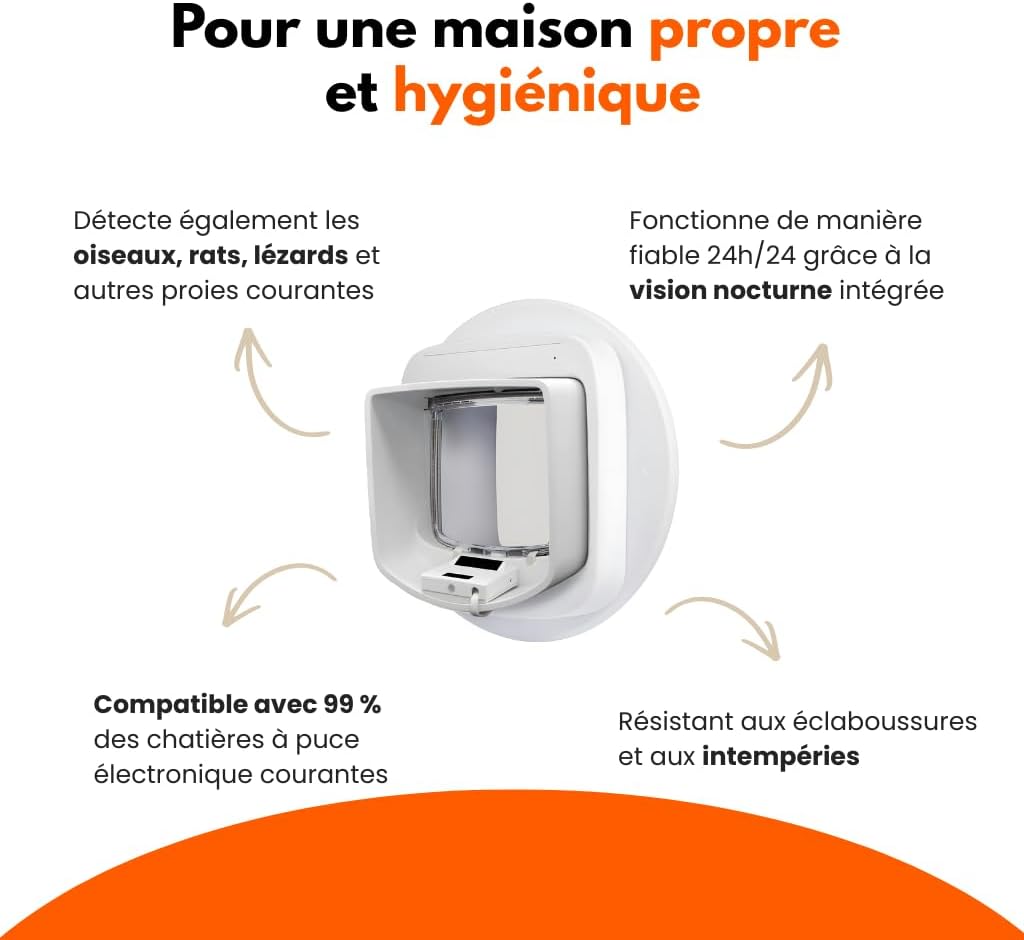 Détecteur de proies pour chat, innovation féline pour maison soignée et moderne.