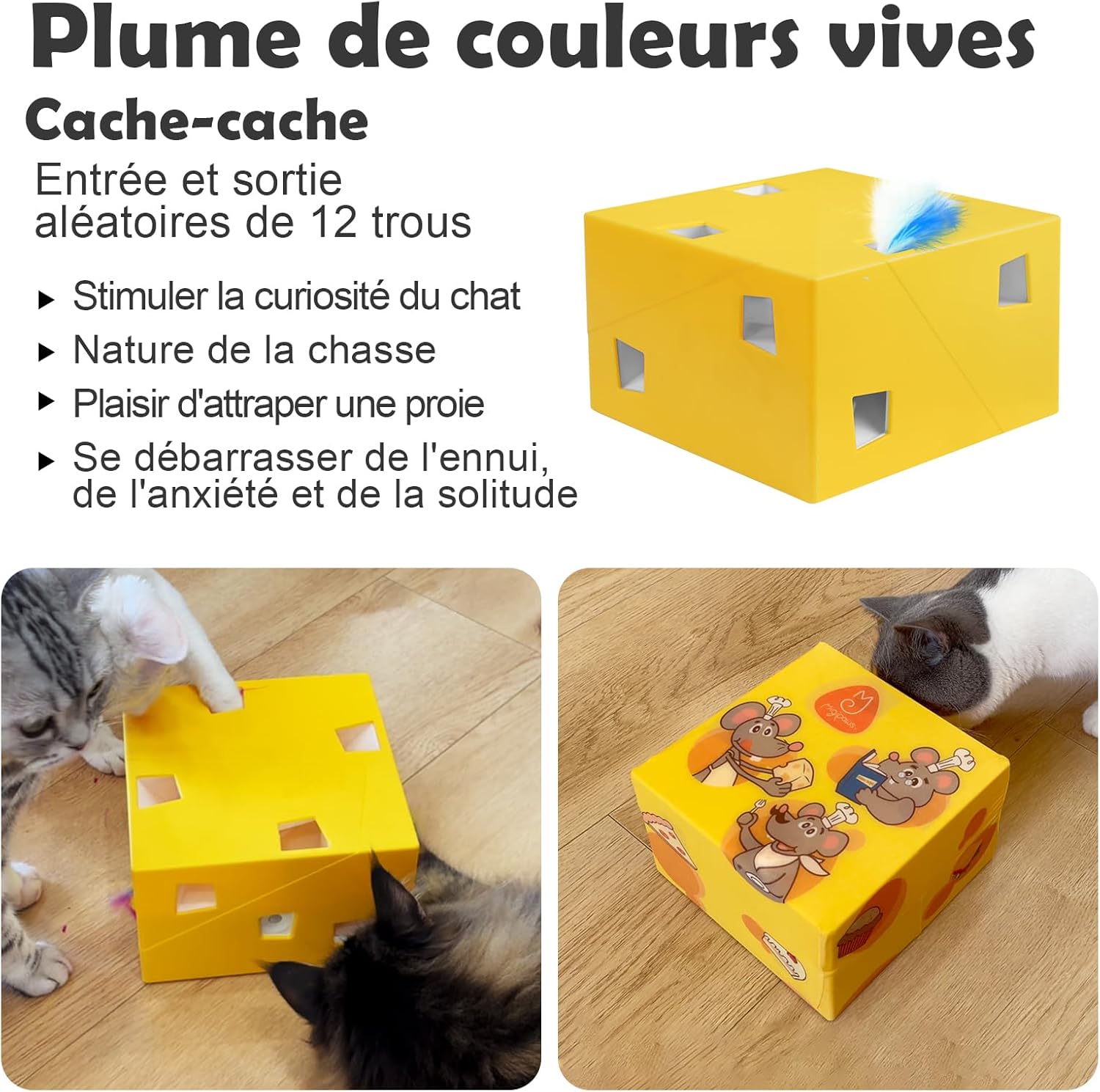 Accessoire chat premium 3 en 1 innovation plumes jaillissantes 12 trous.