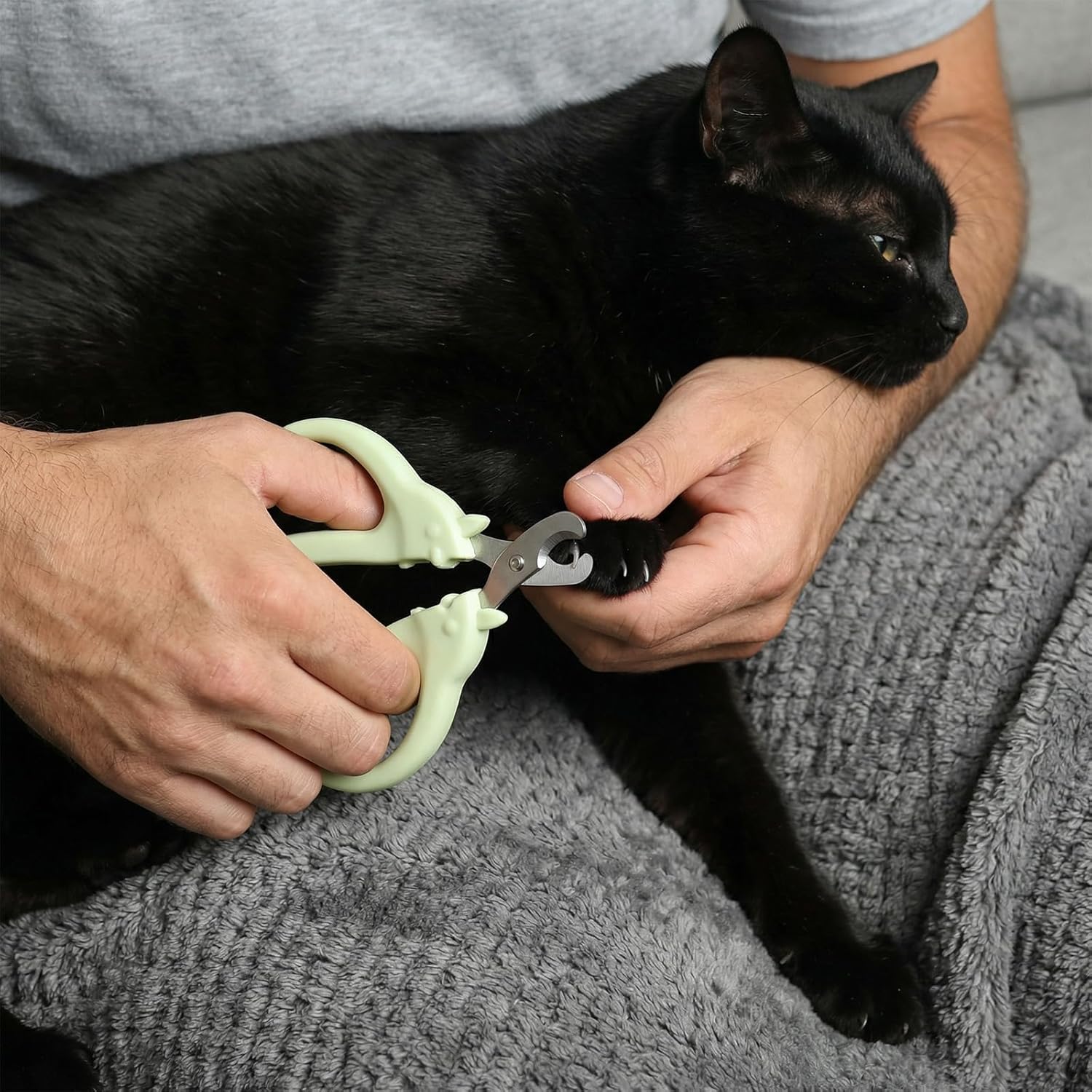 Ensemble 3 pièces toilettage chat portable design moderne premium.