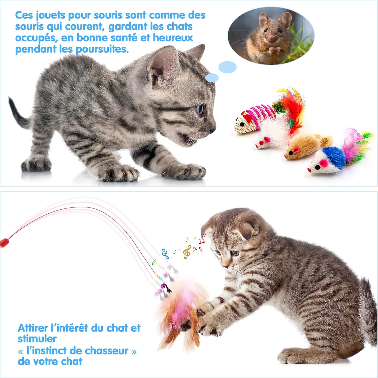 Lot de jouets pour chat premium avec matatabi naturel.