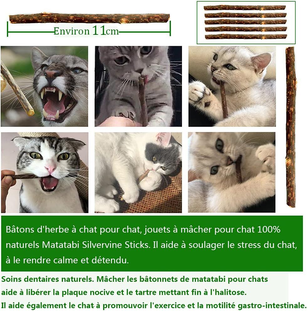 Kit jouets interactifs pour chat premium multicolore.