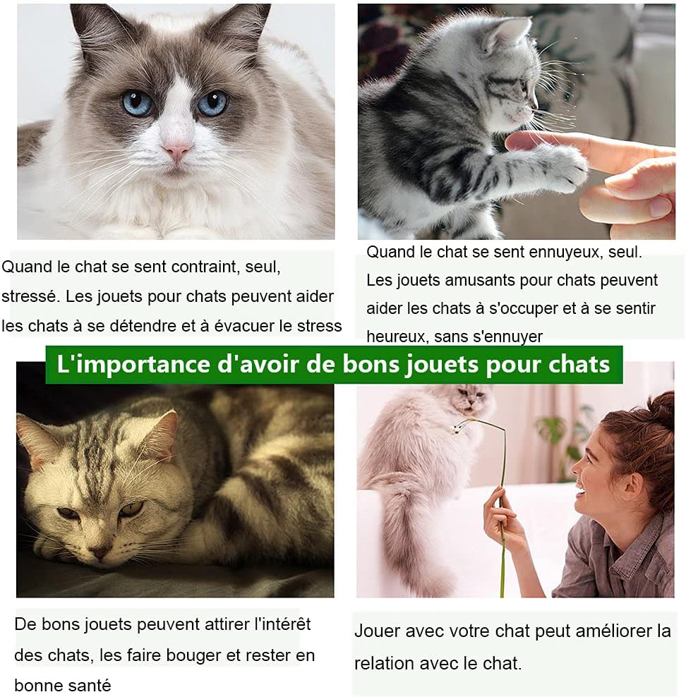 Jouets chat 23 pièces premium pour chaton intérieur.