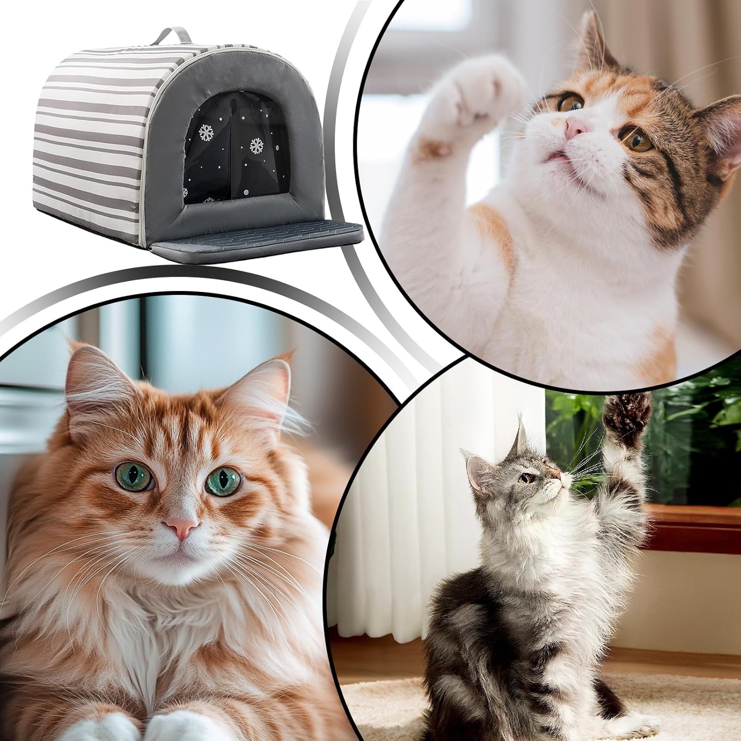 Abri frais pour chat avec ventilation latérale.