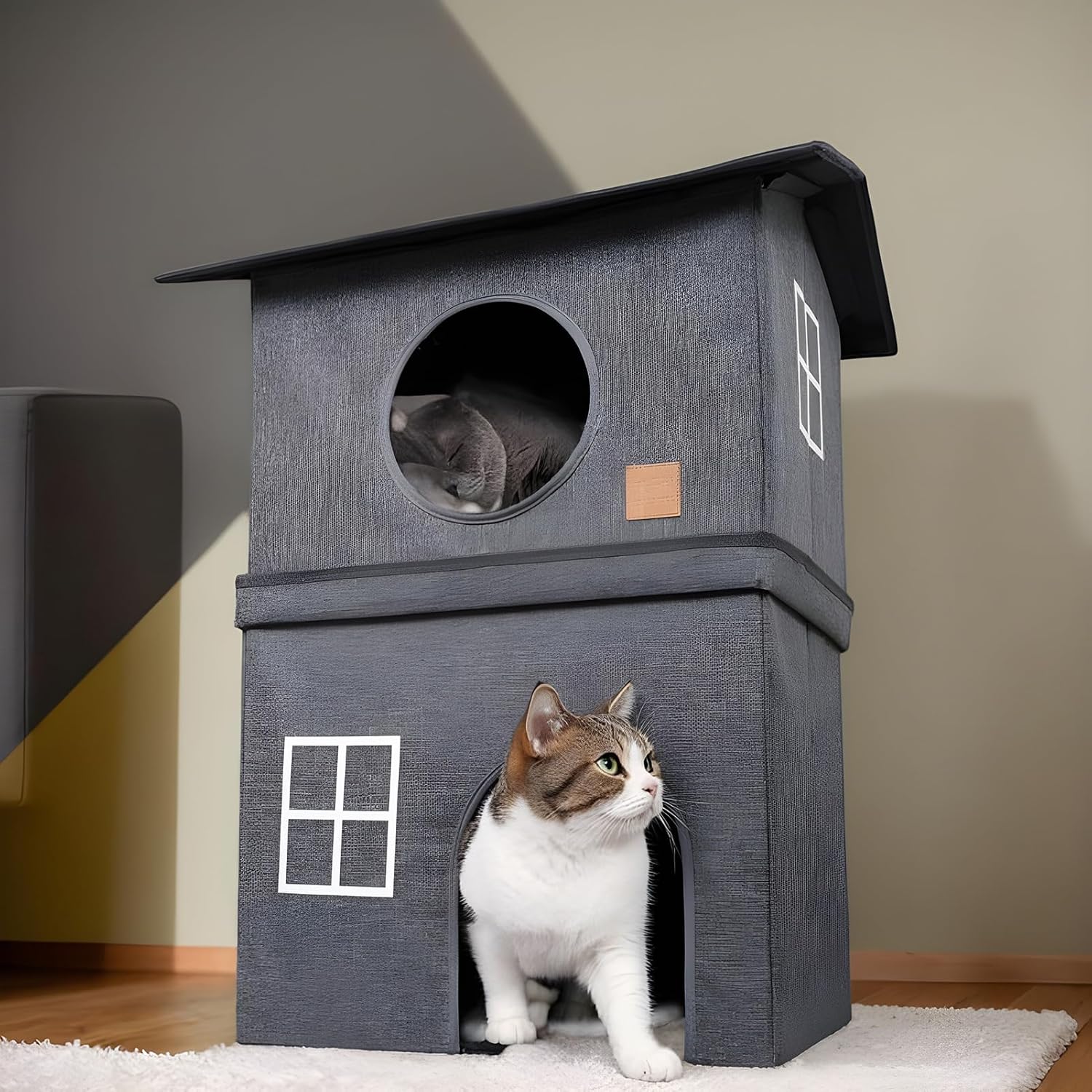 Espace détente spacieux pour plusieurs chats.