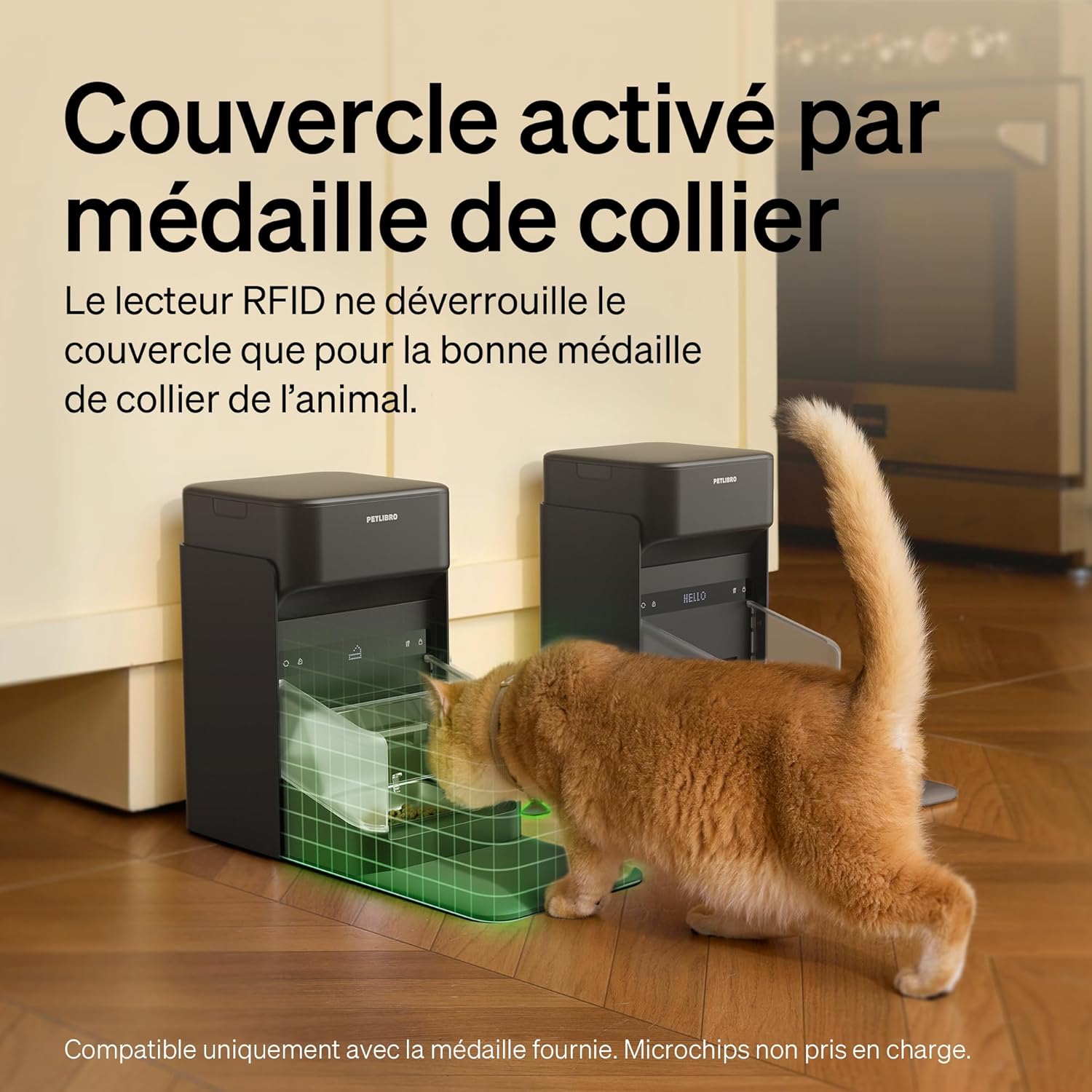 Distributeur automatique de croquettes pour chat en acier inoxydable design minimaliste