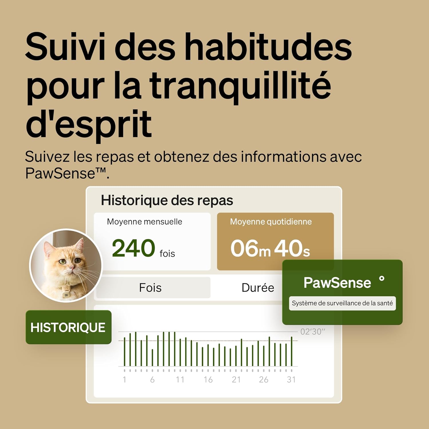 Distributeur nourriture chat RFID pour plusieurs chats multi‑chats design raffiné