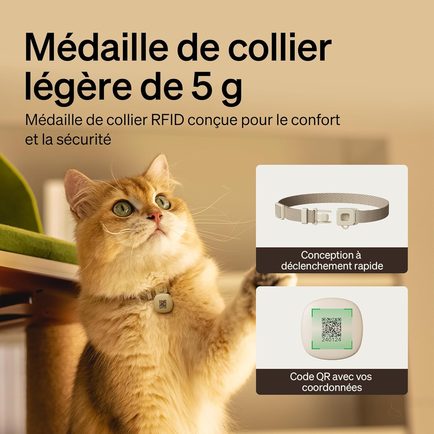 Mangeoire automatique de croquettes pour chat connectée Wi‑Fi 5G dans un intérieur moderne