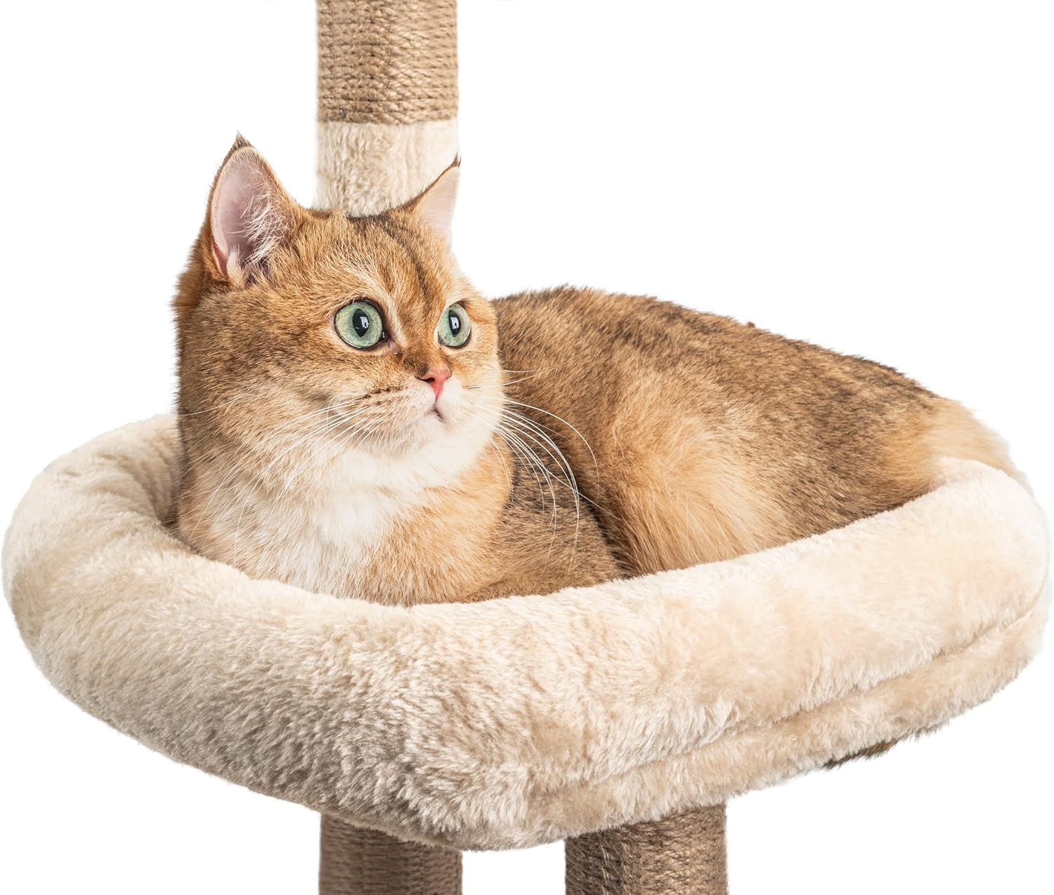 Griffoir sisal épais 7 cm pour bien-être griffes chat premium.