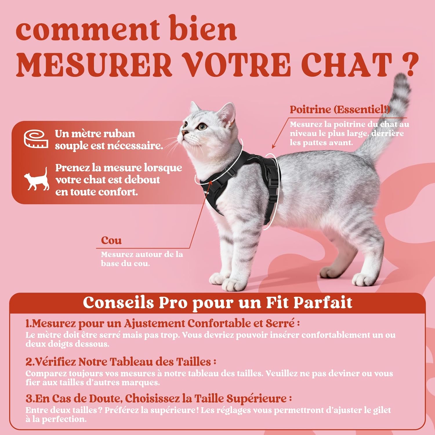 Harnais chat léger et respirant rabbitgoo noir, design minimaliste