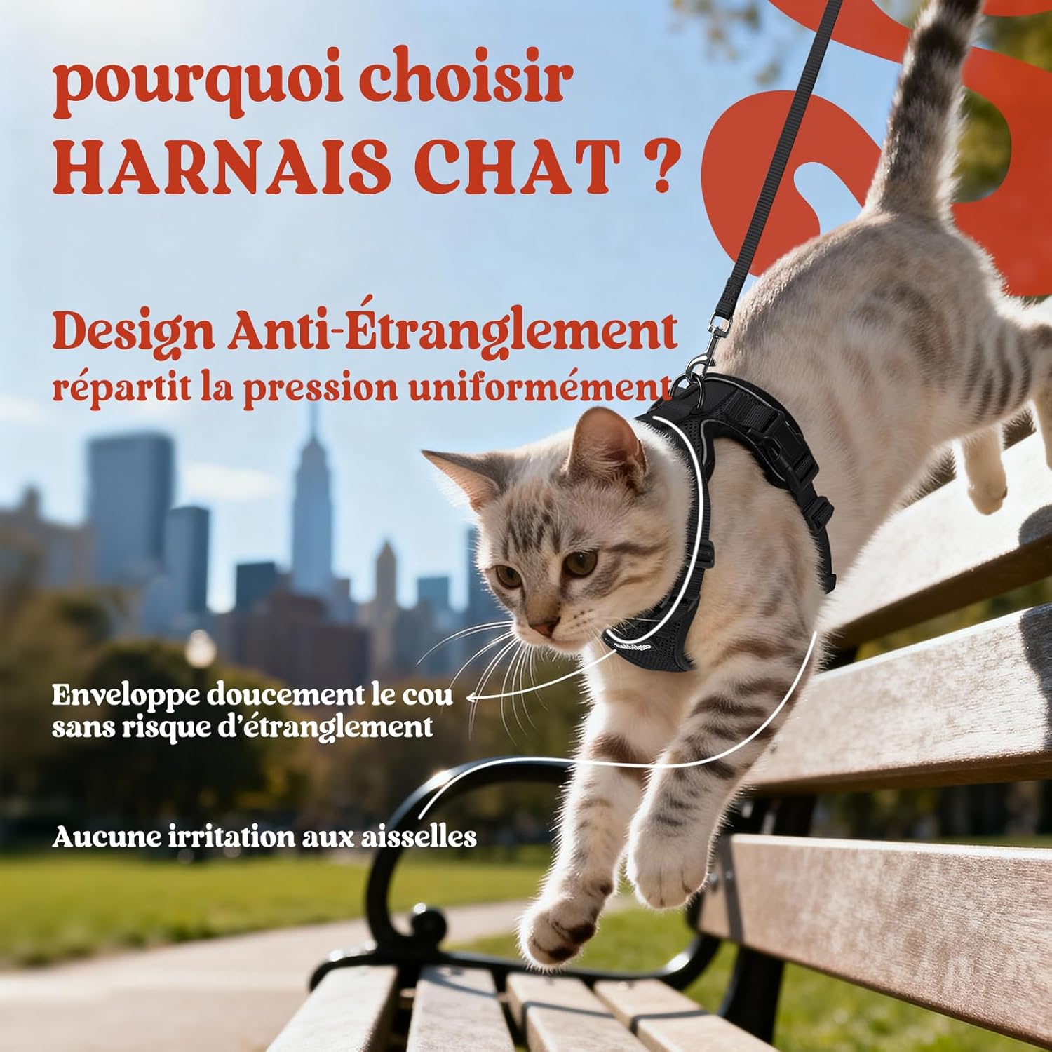 Harnais chat chaton réglable pour sorties extérieures, intérieur chic