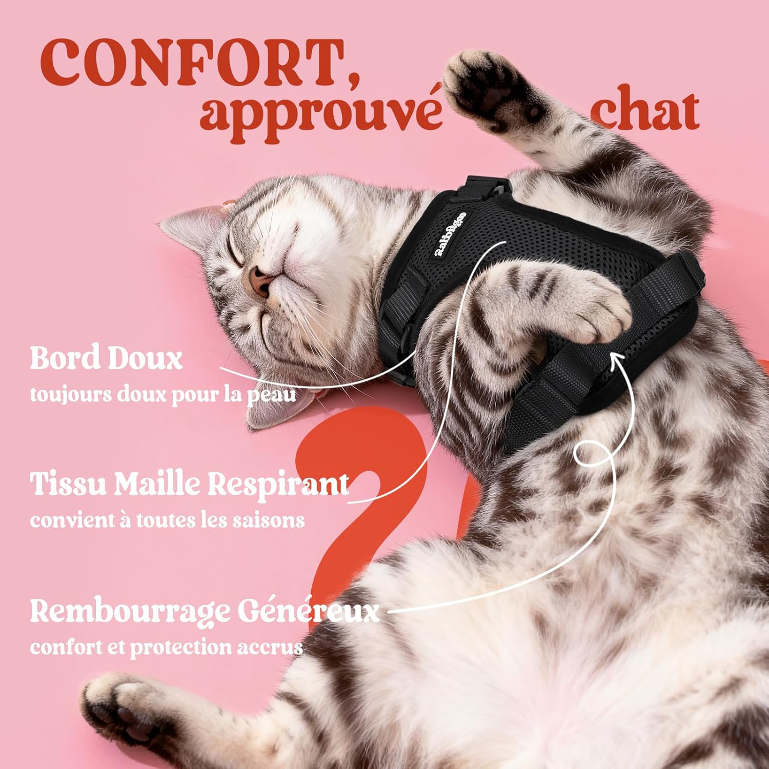 Détail des bandes réfléchissantes sur harnais chat rabbitgoo XS noir