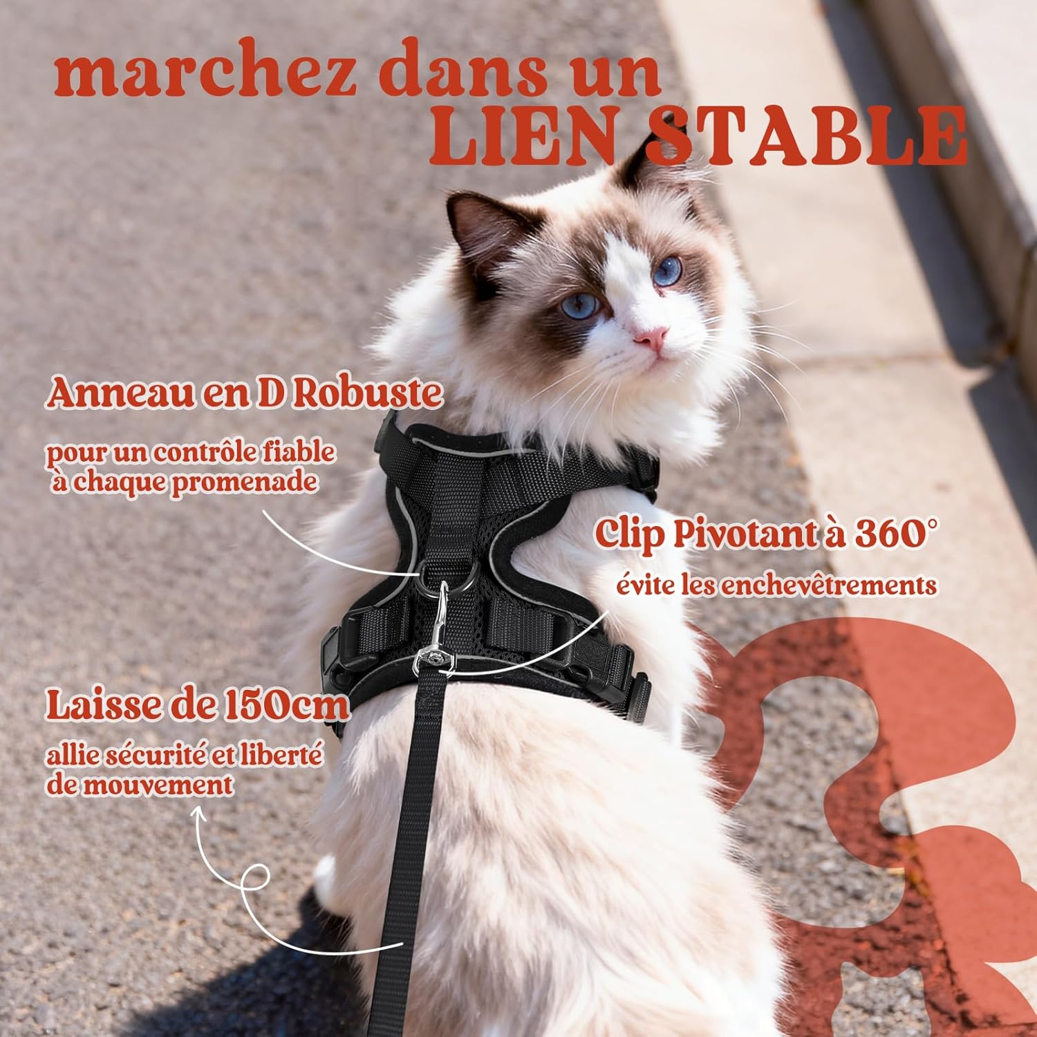 Harnais chat Persan noir avec laisse, ajustable au cou et à la poitrine