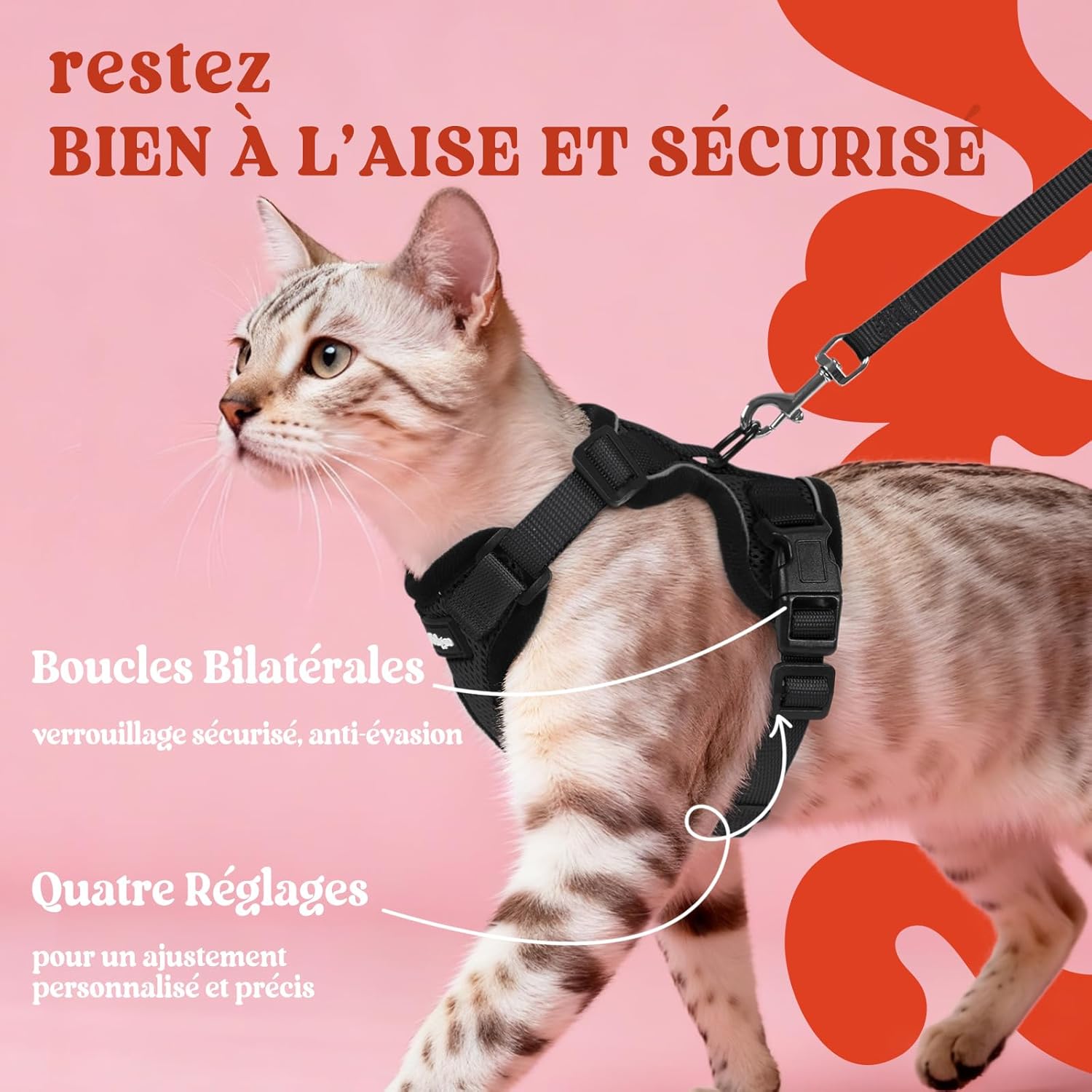 Harnais chaton XS pour Petite race, chat européen ou Maine Coon