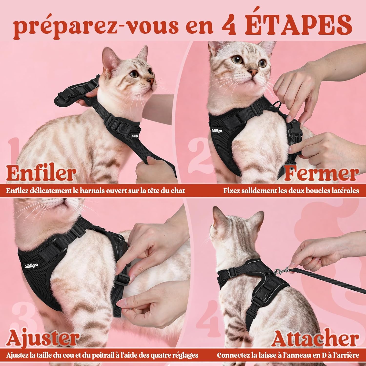 Harnais chat laisse noir et respirant rabbitgoo porté par un chaton