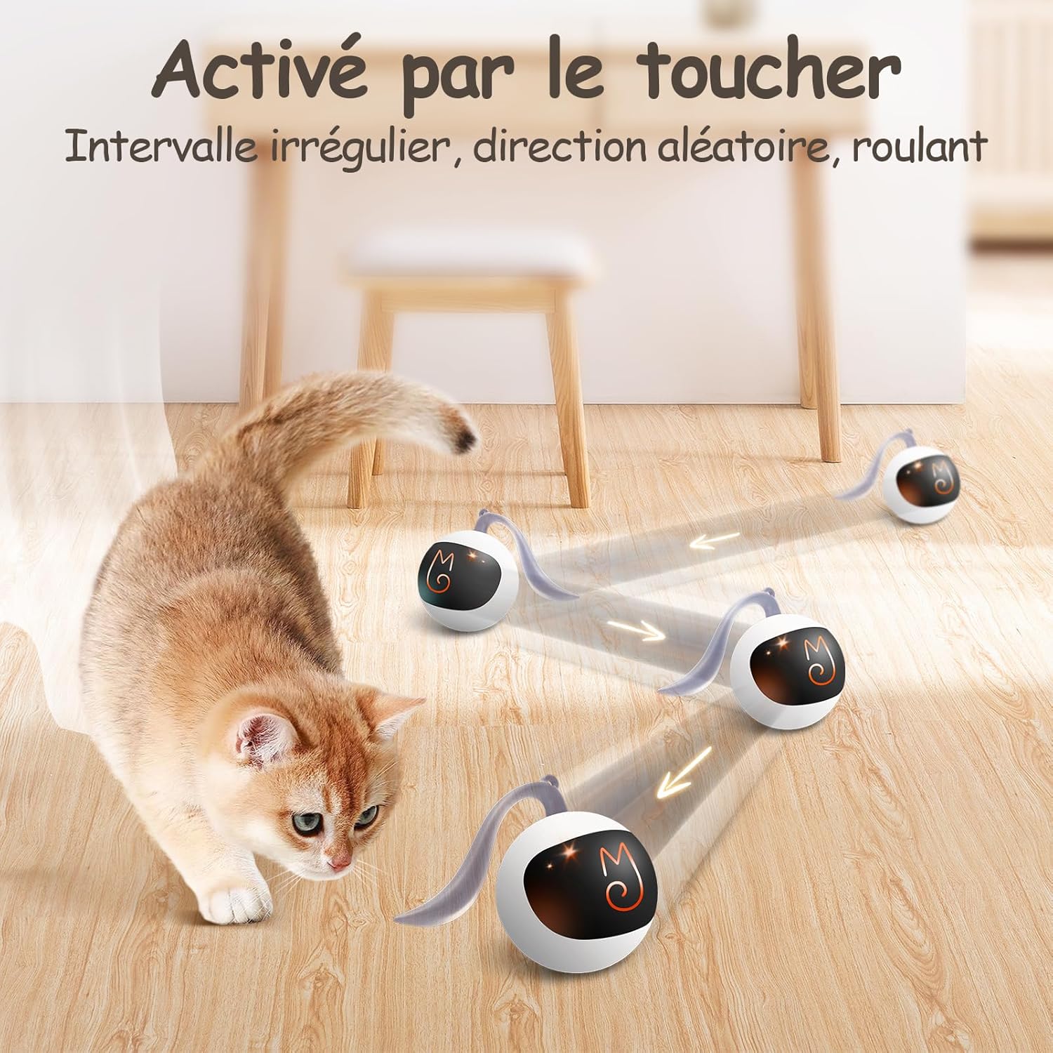 3 Tapis de jeu cache-cache interactif pour chat nylon souple et durable