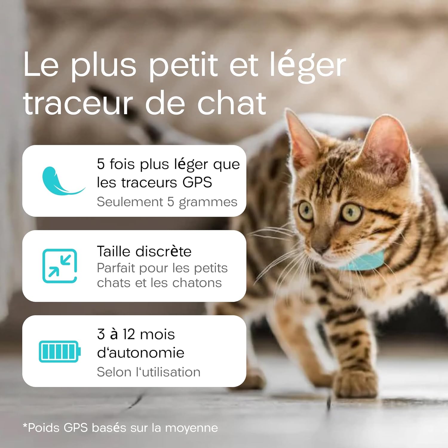 Traceur chat premium avec deux balises et étuis de protection.