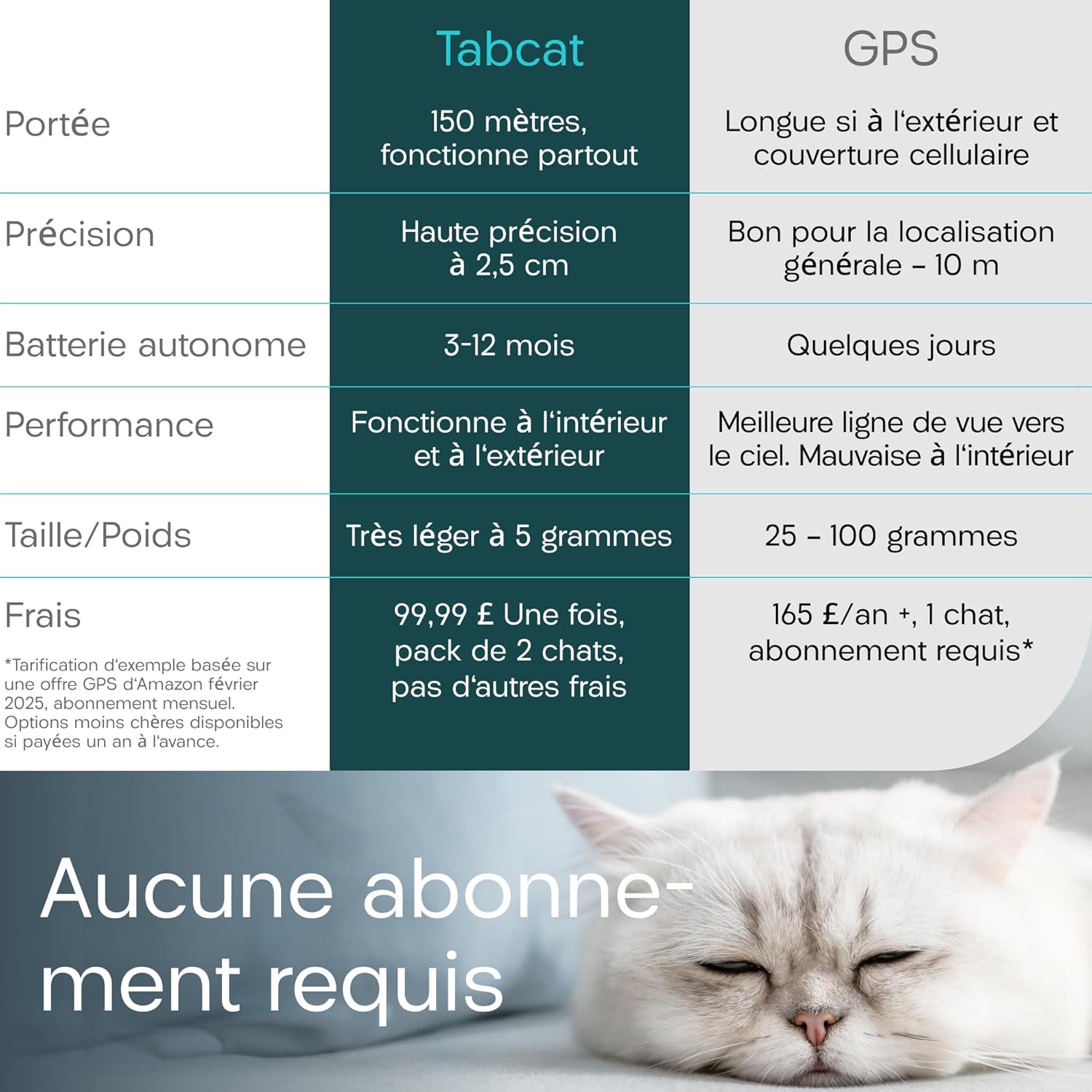 Traceur chat premium léger pour usage intérieur et extérieur.