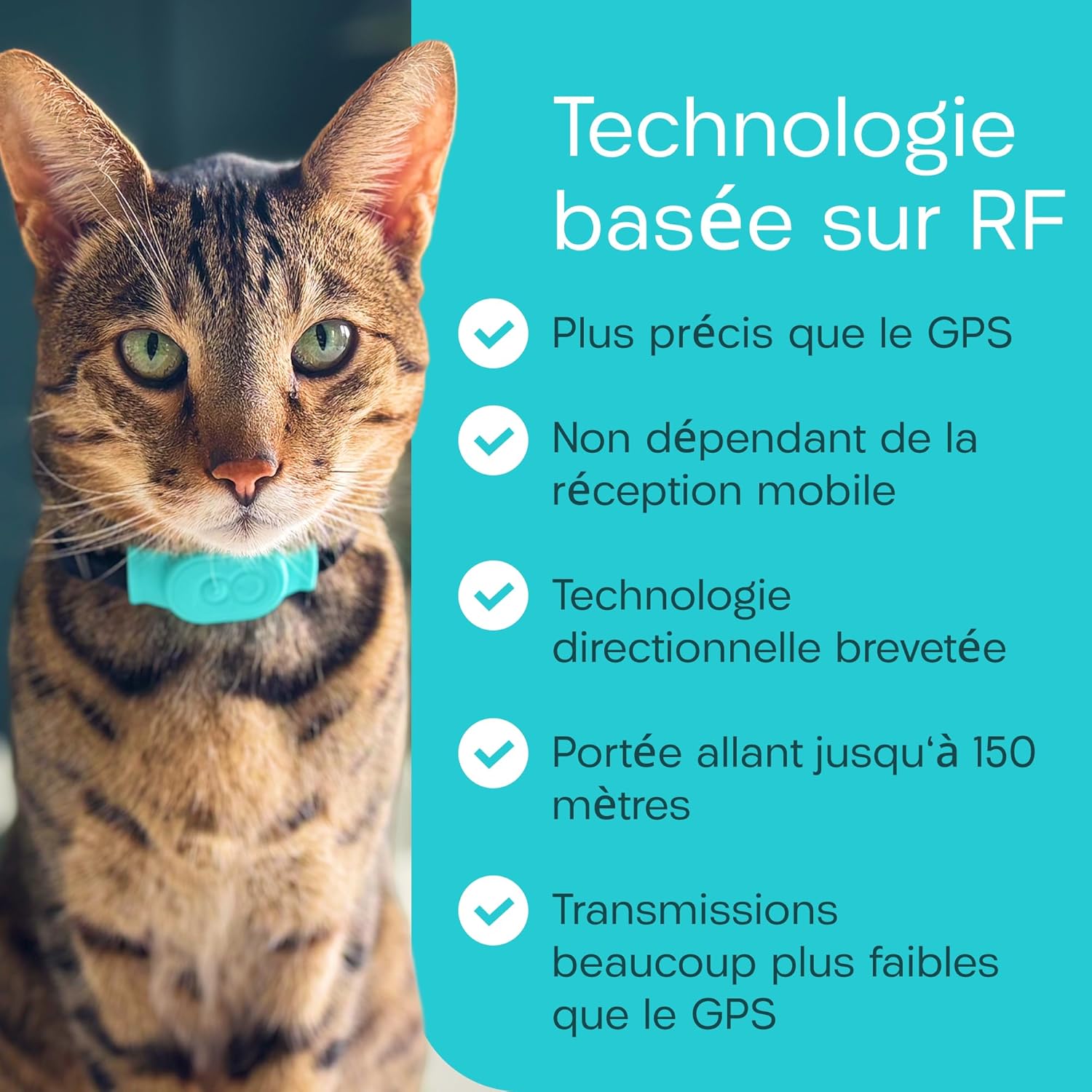Localisateur chat design raffiné félin à technologie RF.