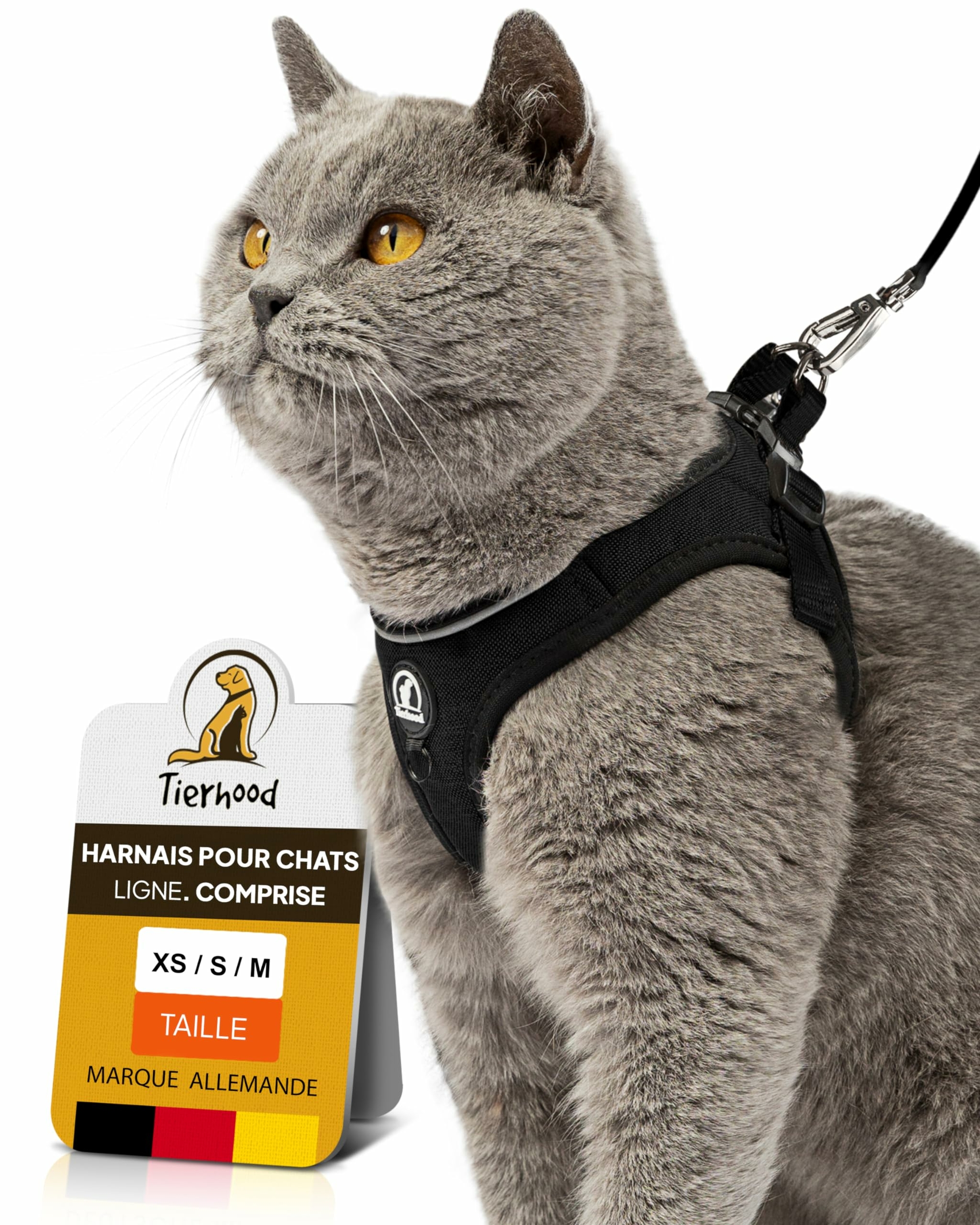 Harnais chat noir, longue laisse pratique pour sorties quotidiennes.