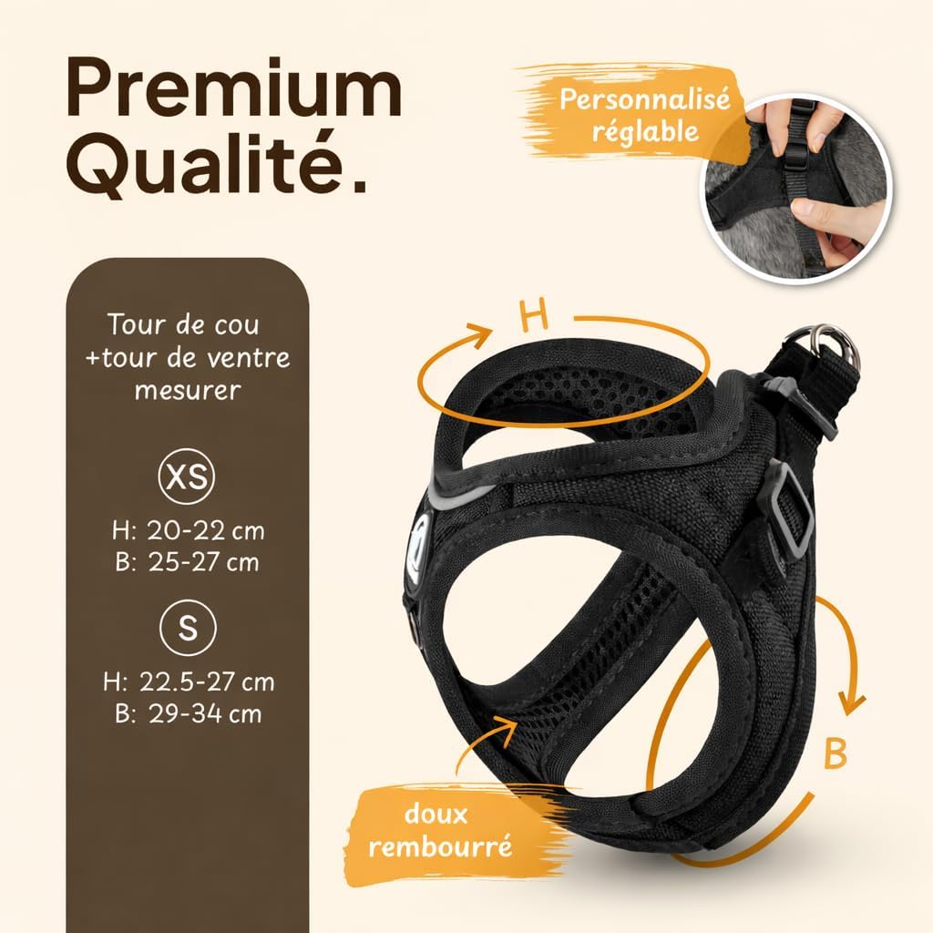 Harnais pour chat design, provisions pour balcon ou jardin sécurisé.