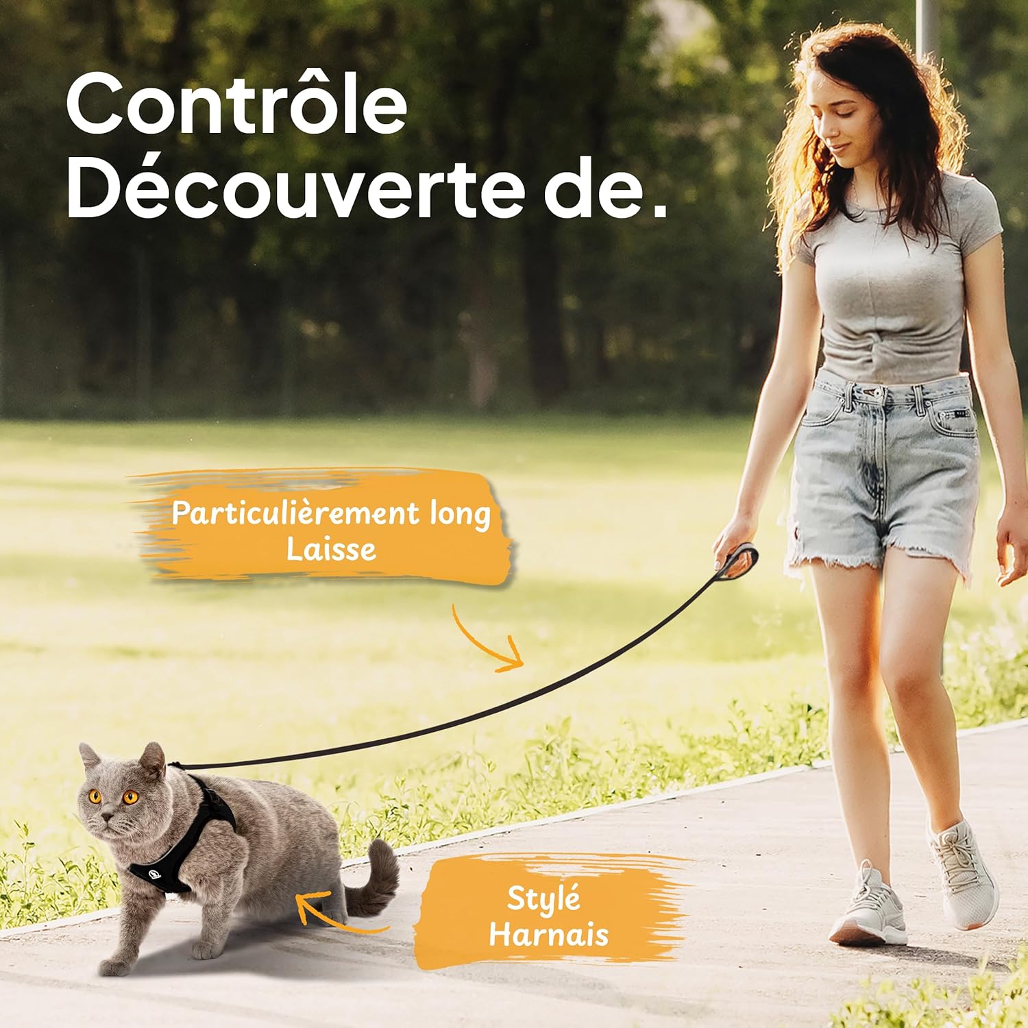 Harnais chat avec laisse, boucle de fermeture sécurisée pour chaton.