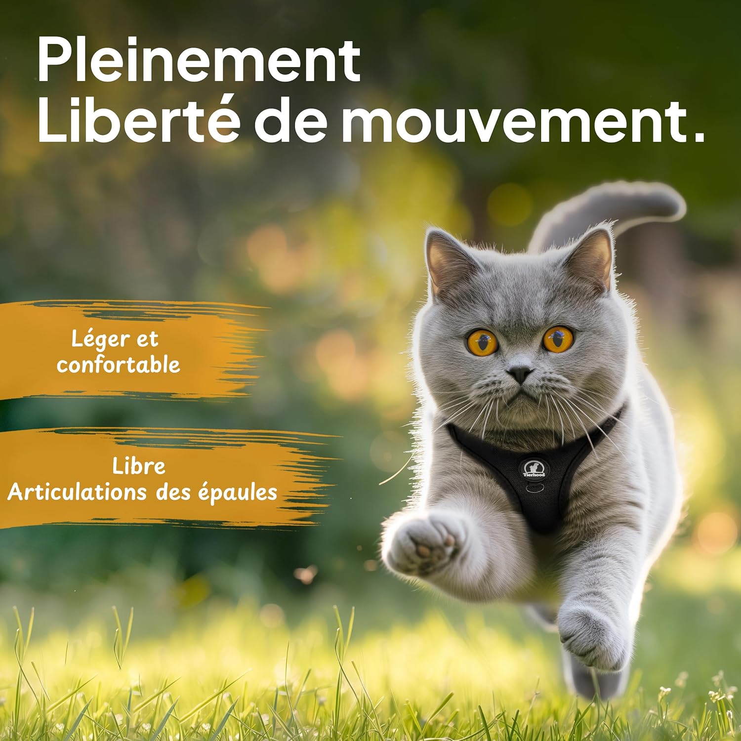 Accessoire chat premium, harnais confortable pour chat de petite taille.