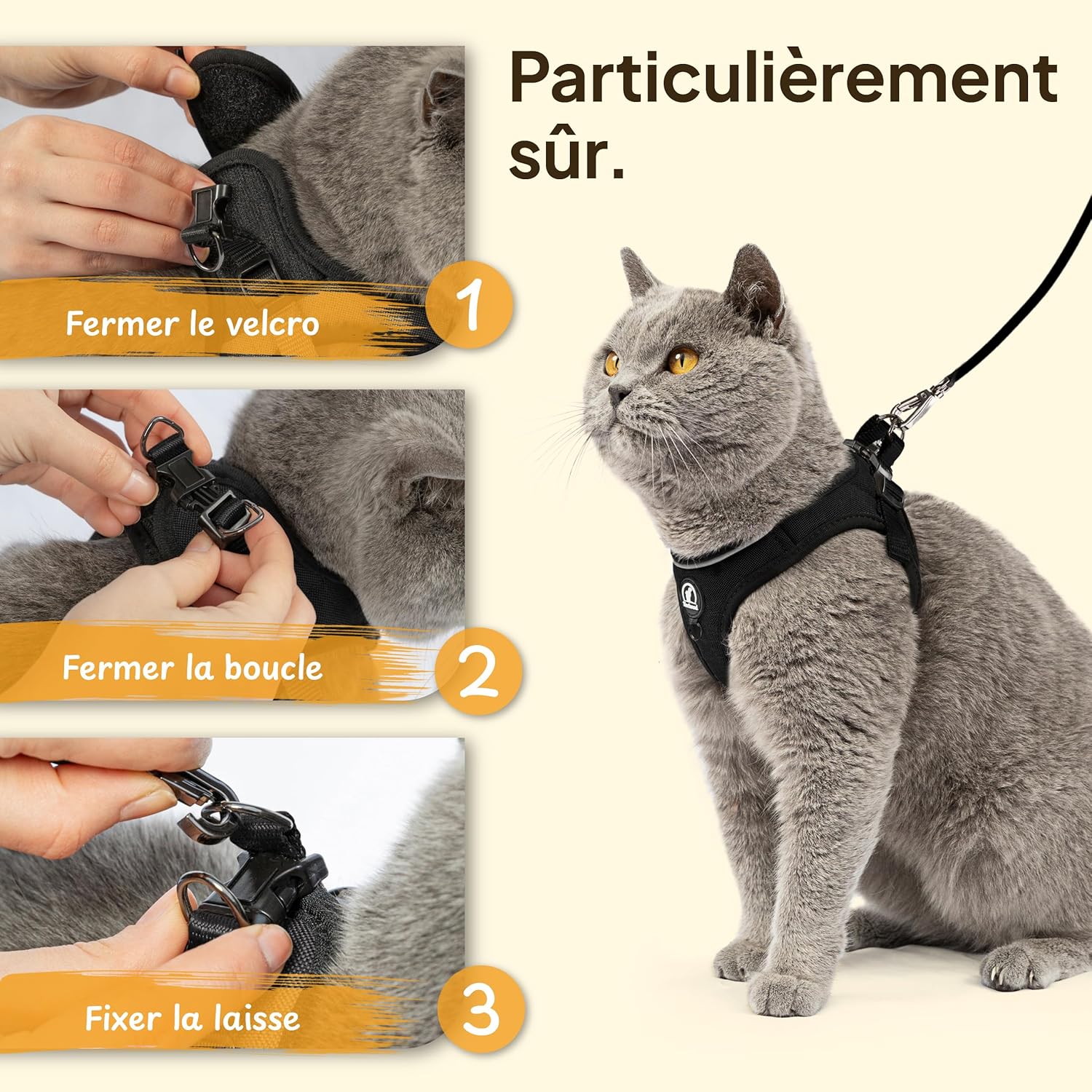 Harnais et laisse pour chat en nylon doux, réglable pour petit félin.