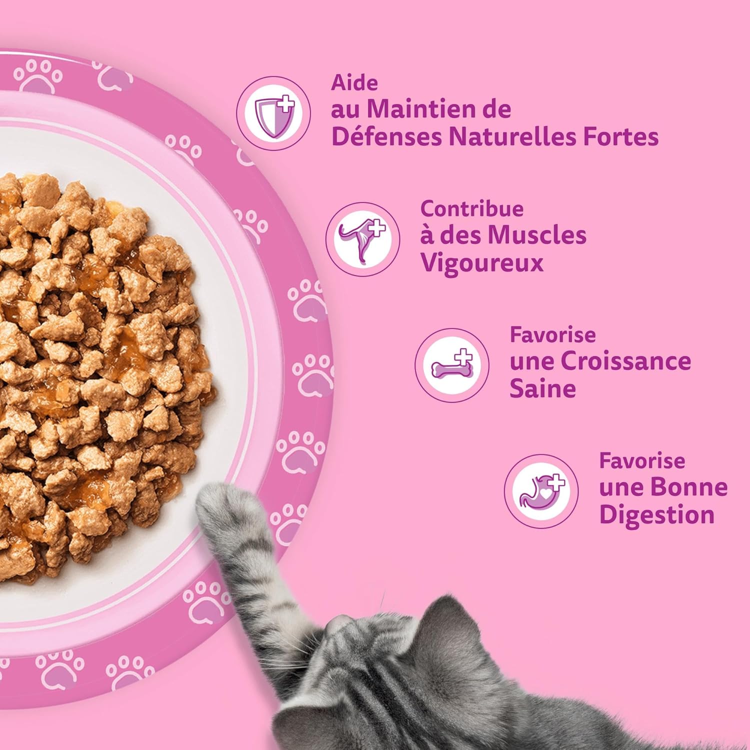 Nourriture chaton sophistiquée : gelée fraîcheur Whiskas pour croissance saine os solides.