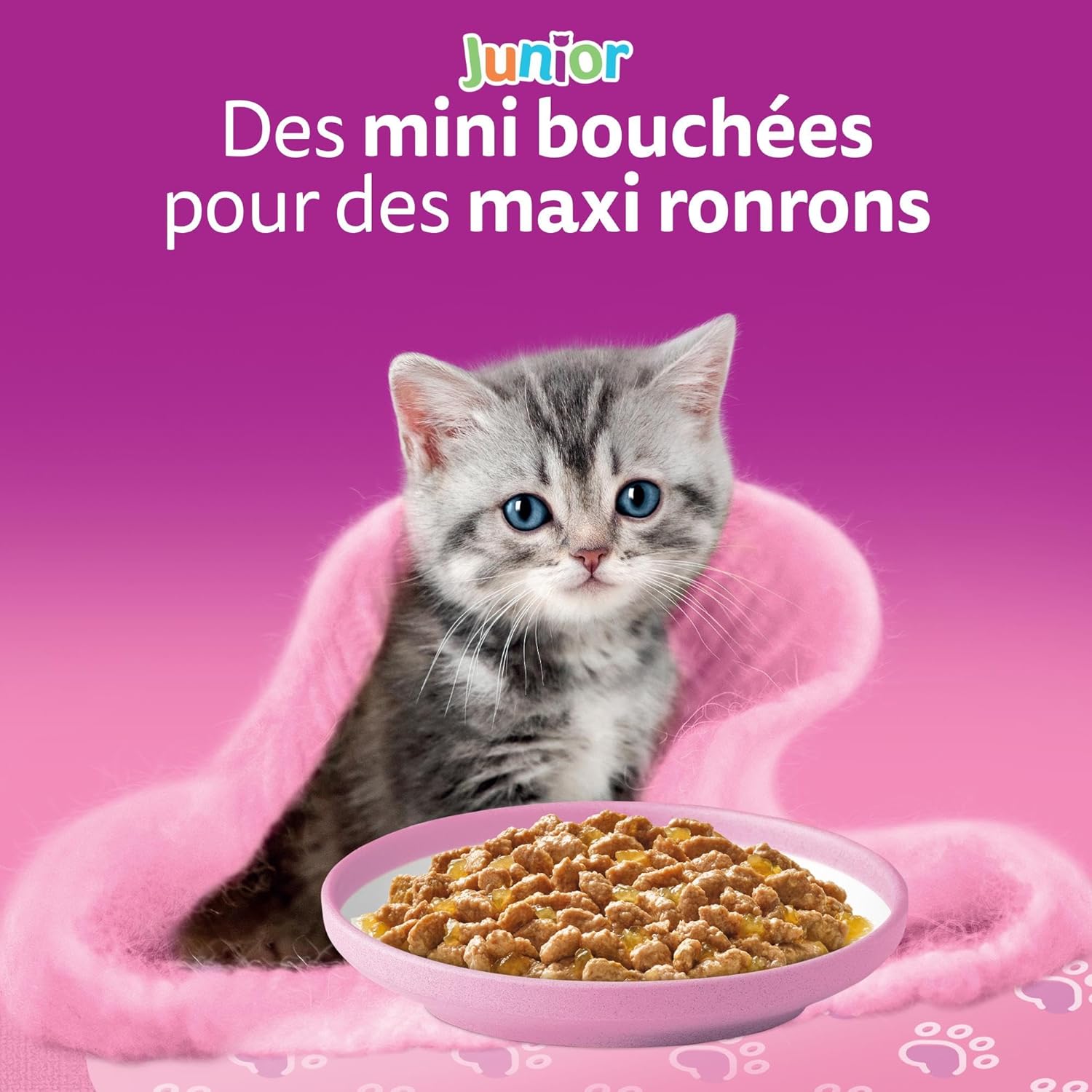 Pâtée gelée féline haut de gamme : lot 48 sachets Whiskas junior bien-être digestif.