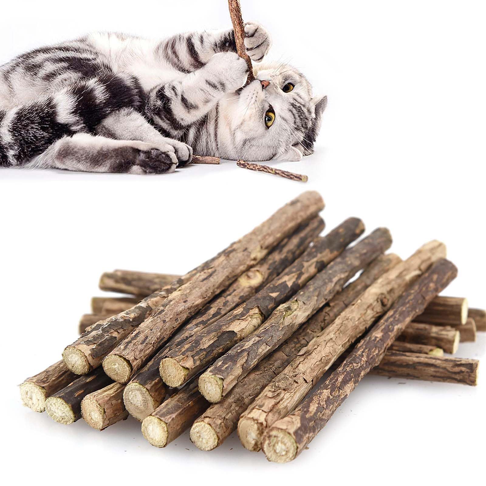 Jouet à mâcher matatabi pour chat, design raffiné félin et détente.
