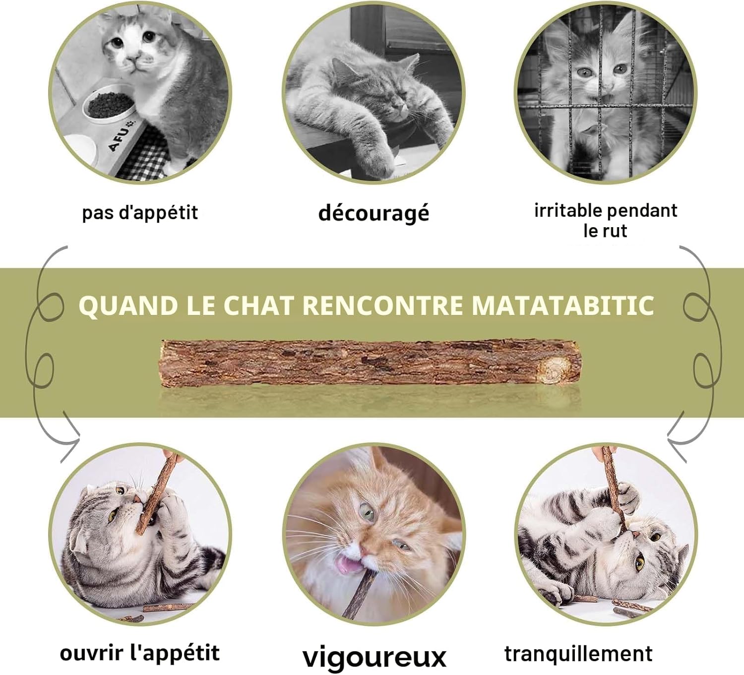 Bâtons de mastication pour chat intérieur, design premium et naturel.
