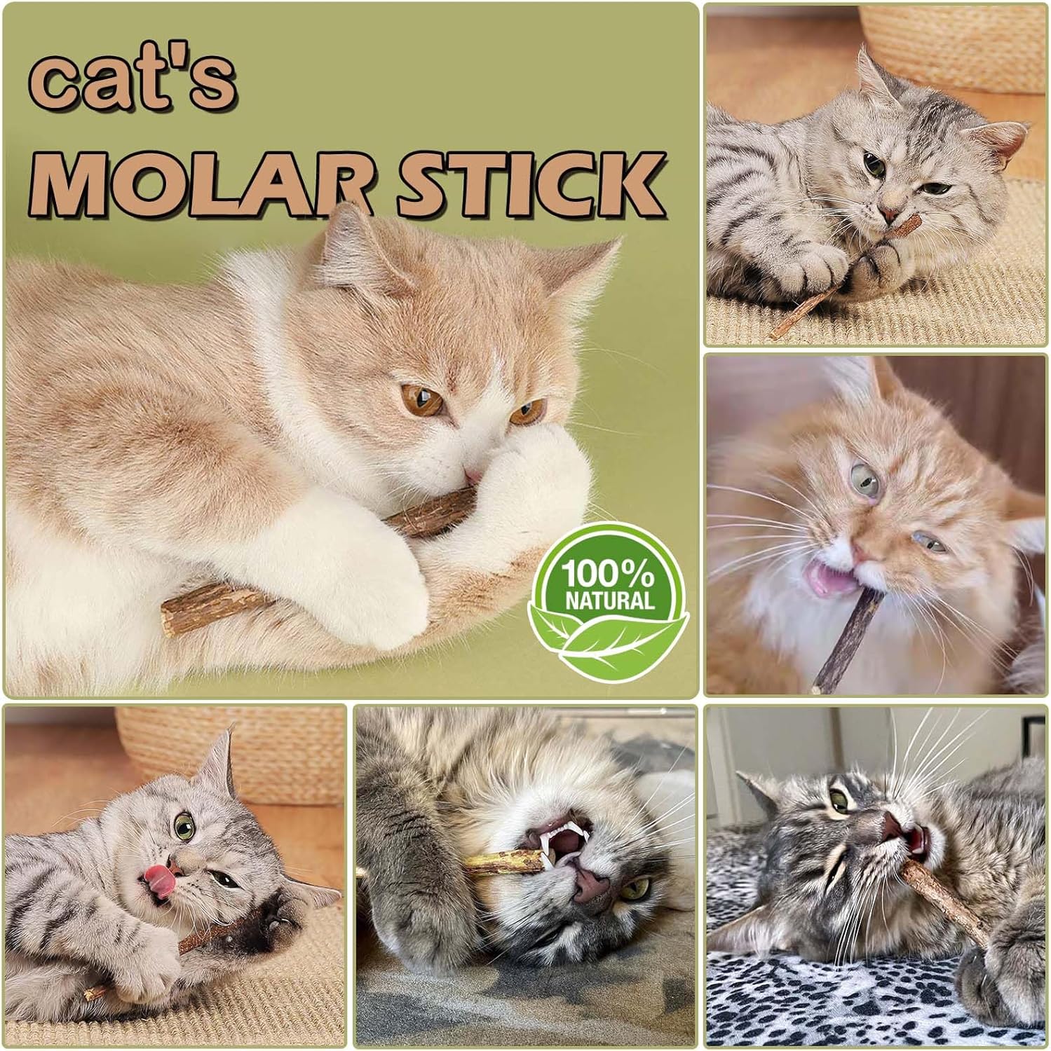 Lot SeaMorn pour chat, bâtons molaires premium pour hygiène bucco-dentaire.