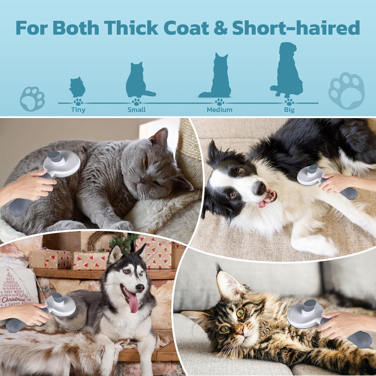 Brosse chat design premium Zivacate grise avec poignée griffe.