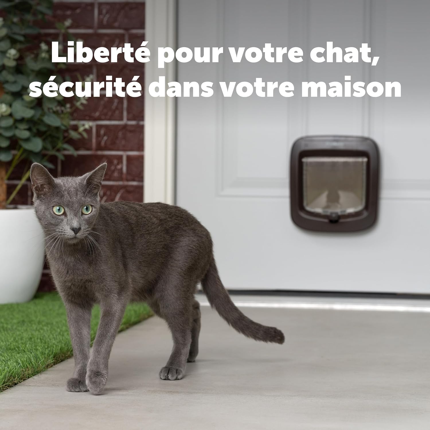 Porte chat avec puce électronique, sécurité et confort au quotidien.