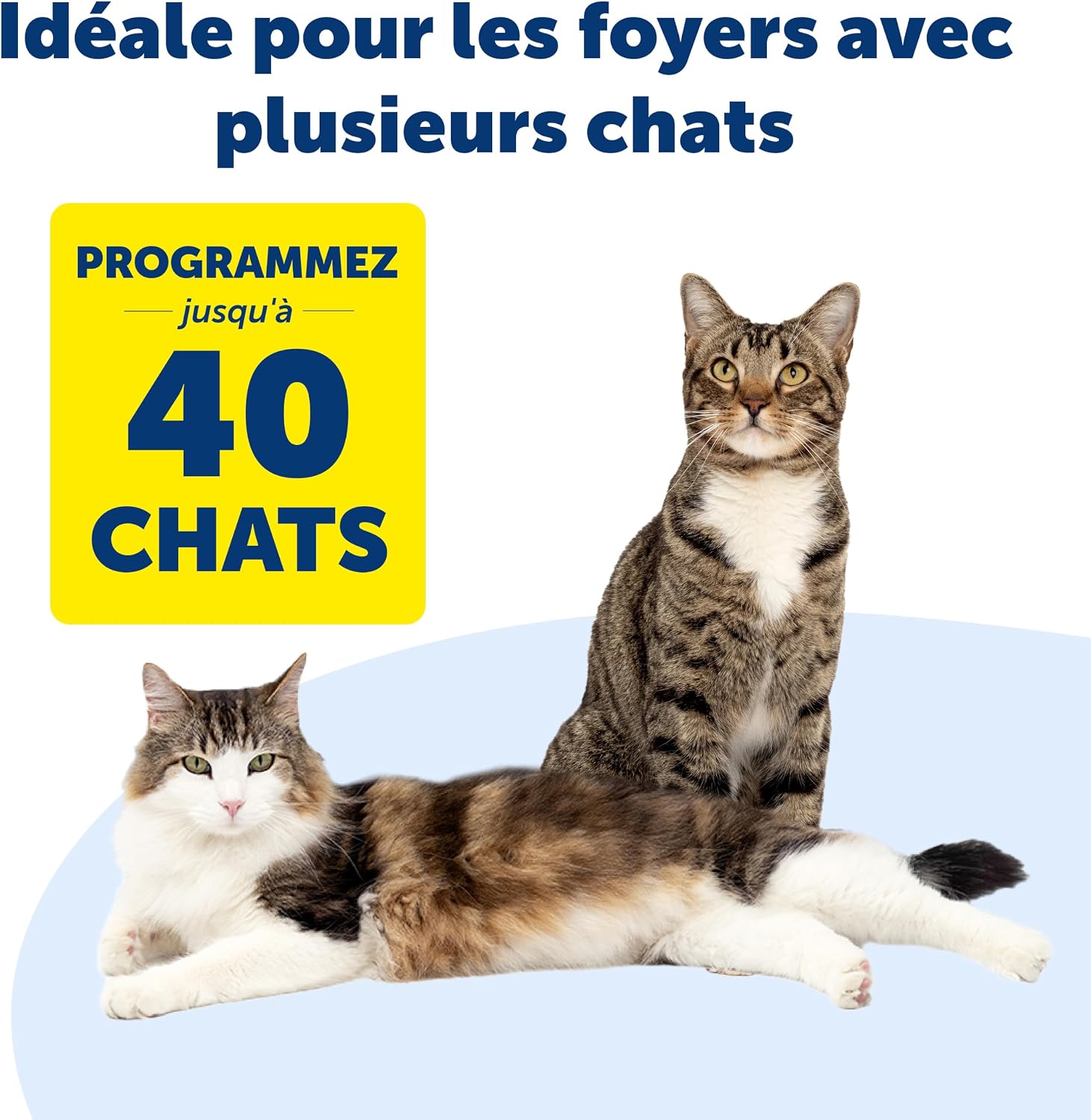 Chatière design premium pour chat et multi-animaux programmés.