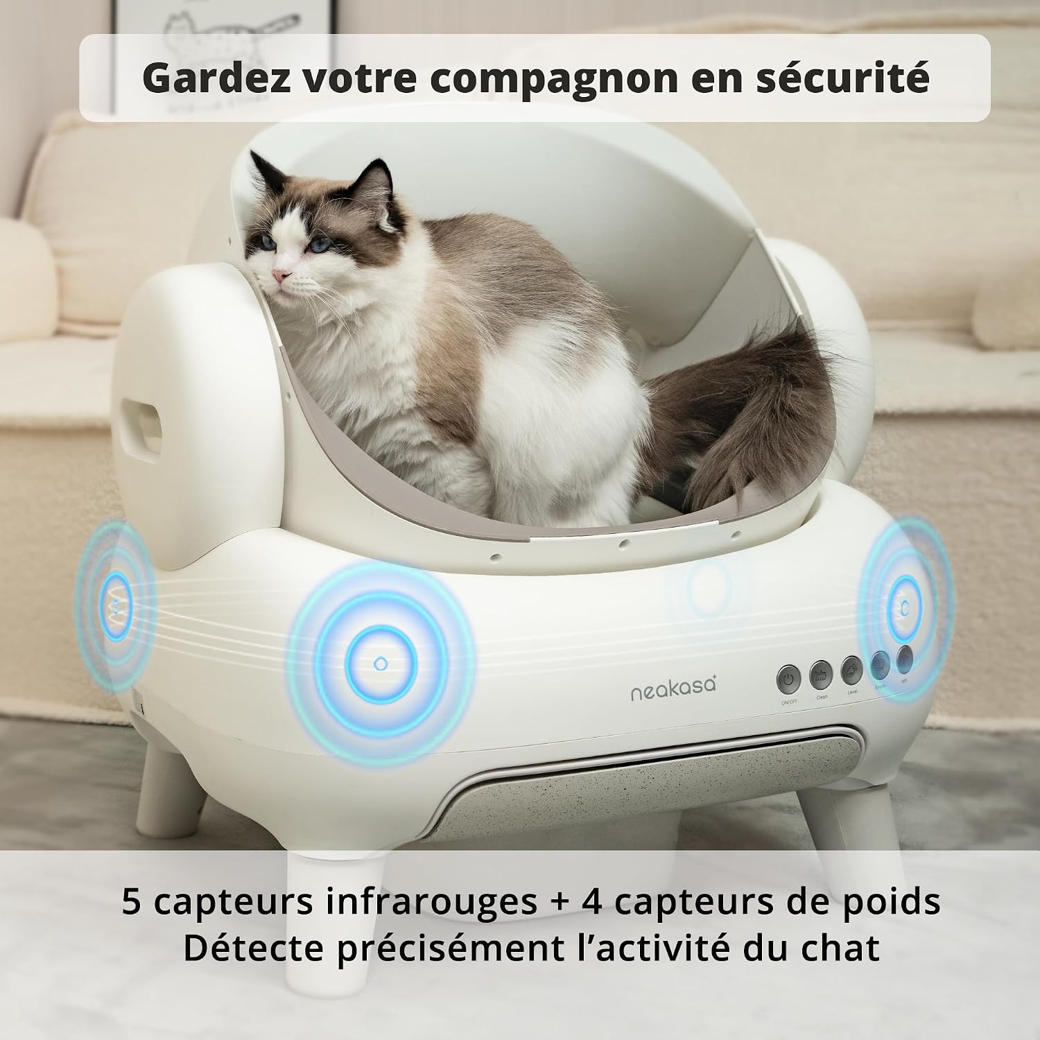 Litière sans odeur chat multi-chats grande capacité