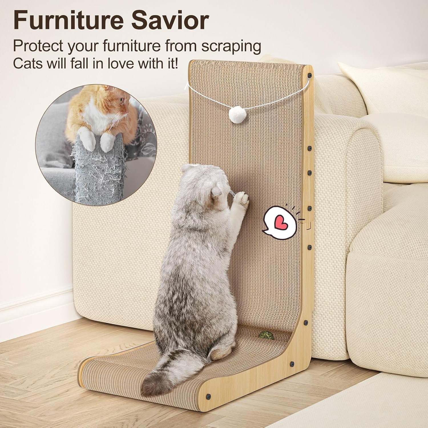 Griffoir Chat Carton