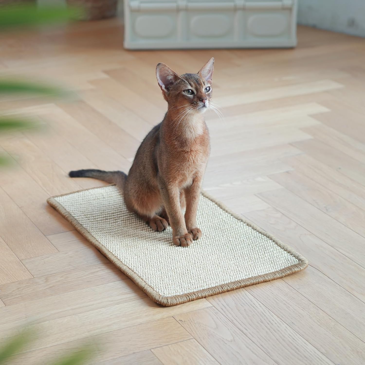 Tapis griffoir pour chat