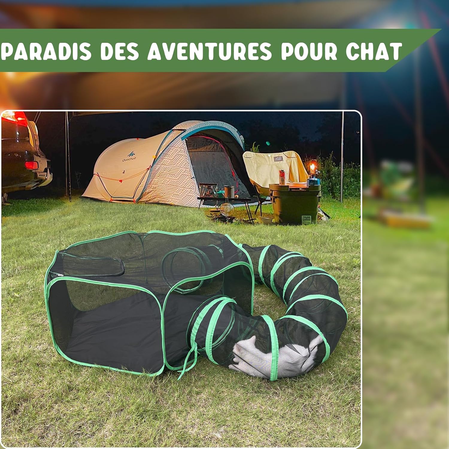 enclos extérieure chat