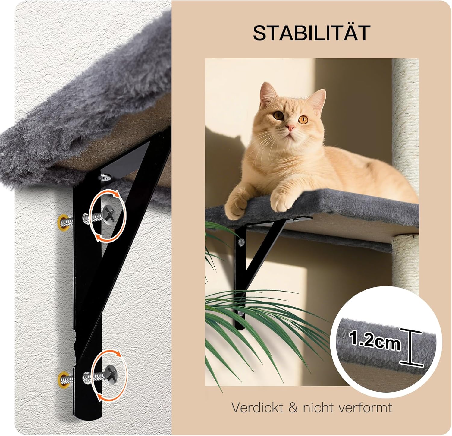 Meubles Muraux Chats