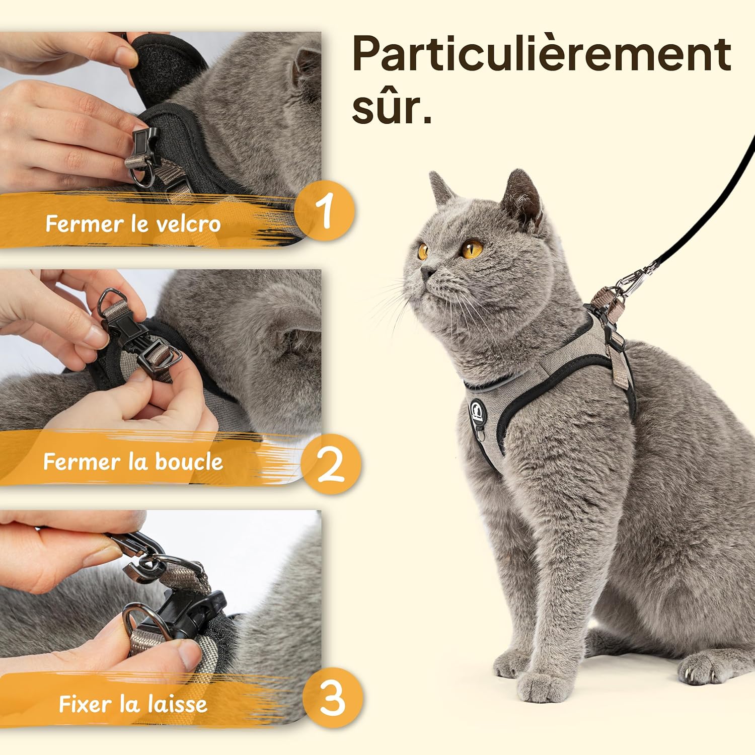 Harnais pour Chat Robuste